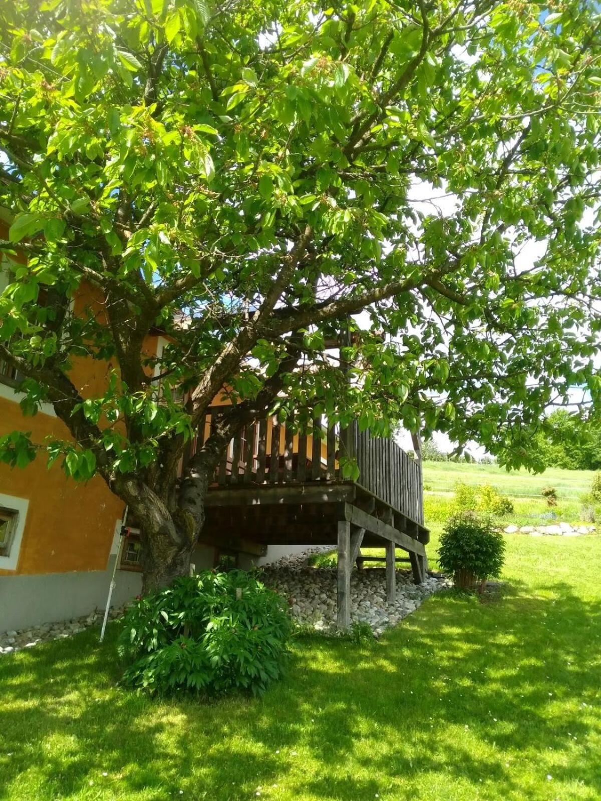 Bauernhaus Posch, Ferienappartements