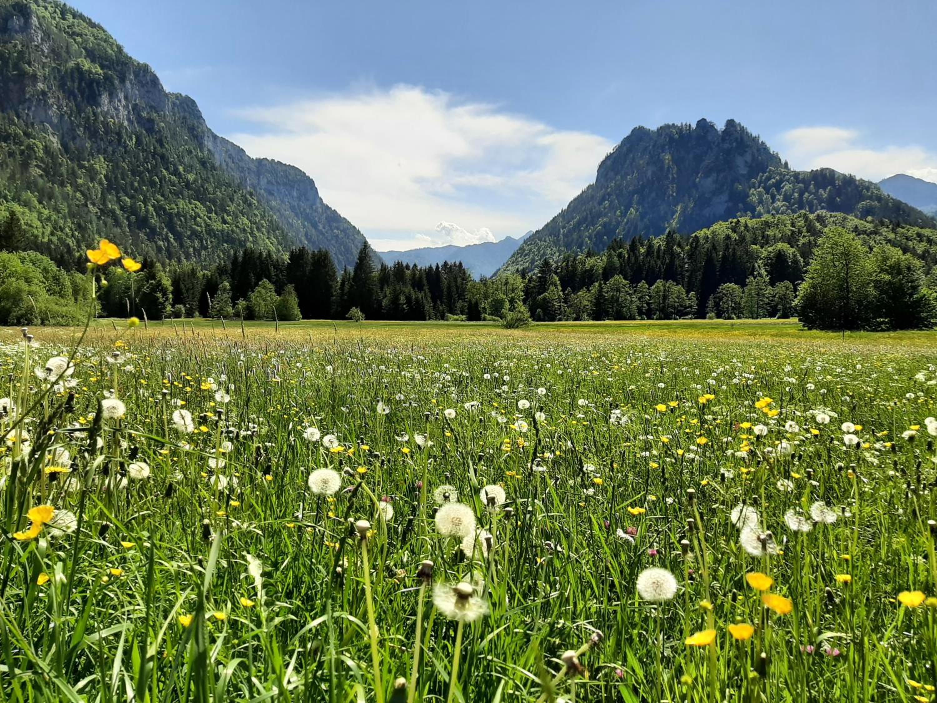 Ferienwohnungen im Griachalgarten - Chiemgau Karte