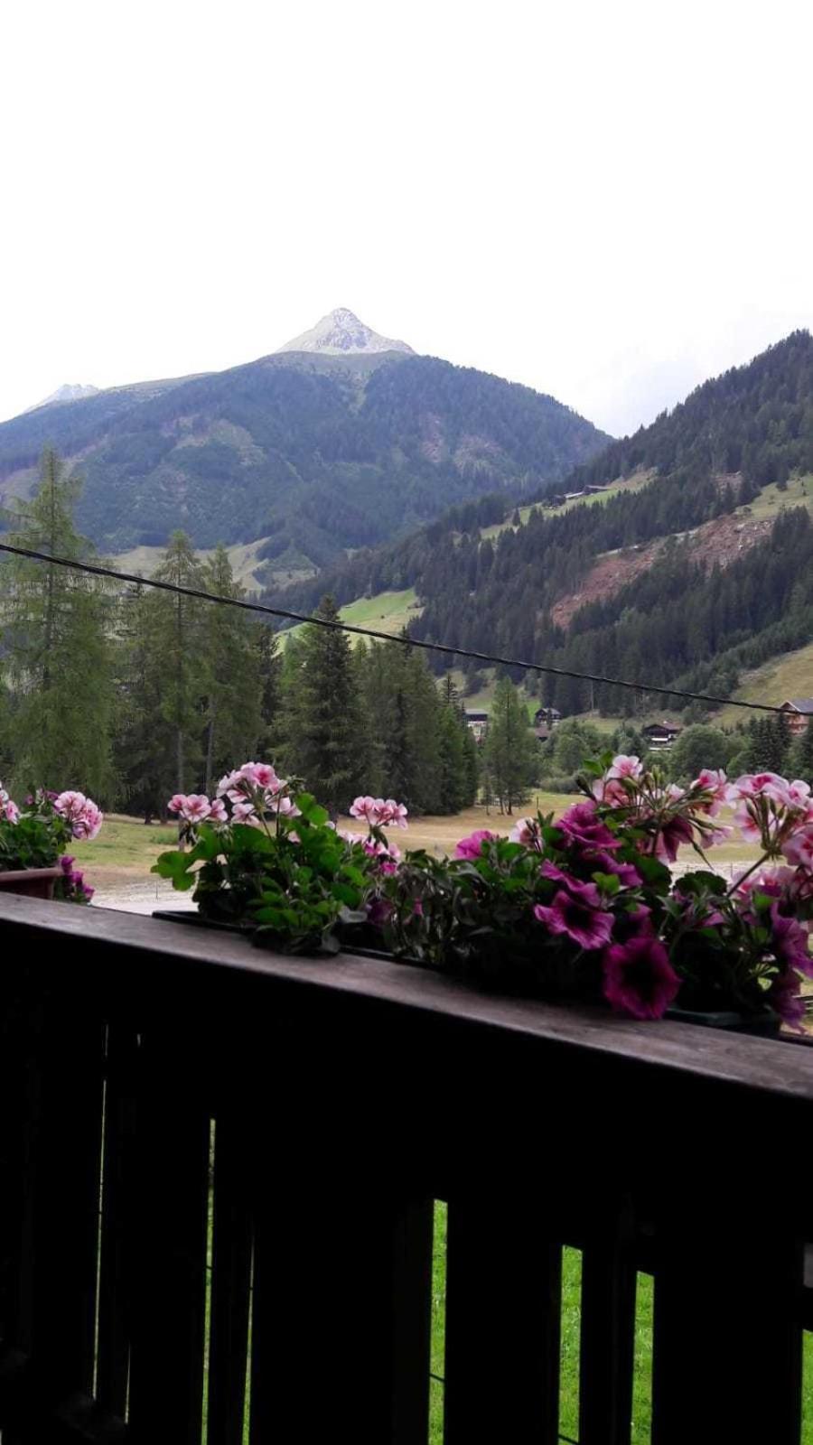 Ferienwohnungen Erlsbacher