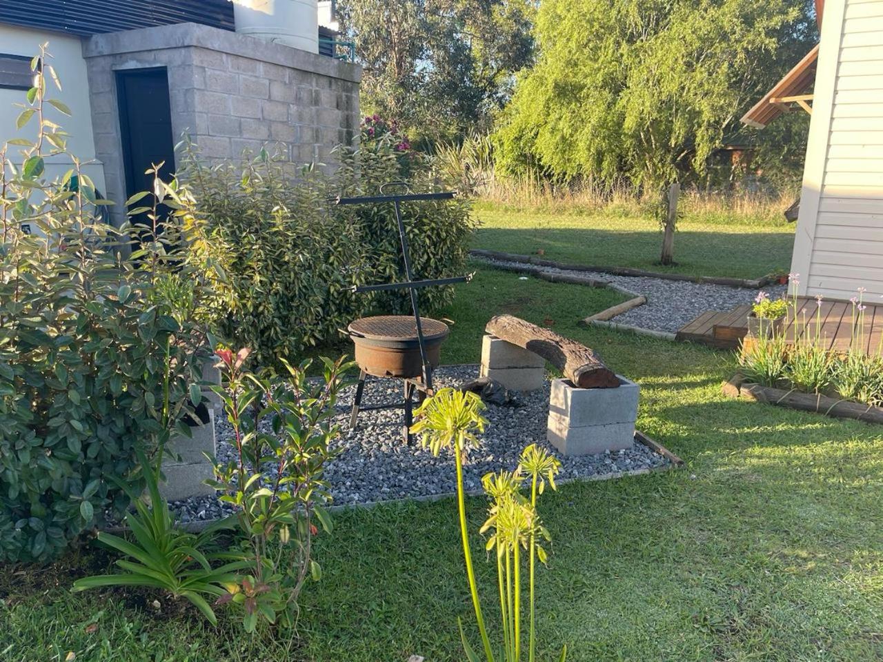 Los colibries