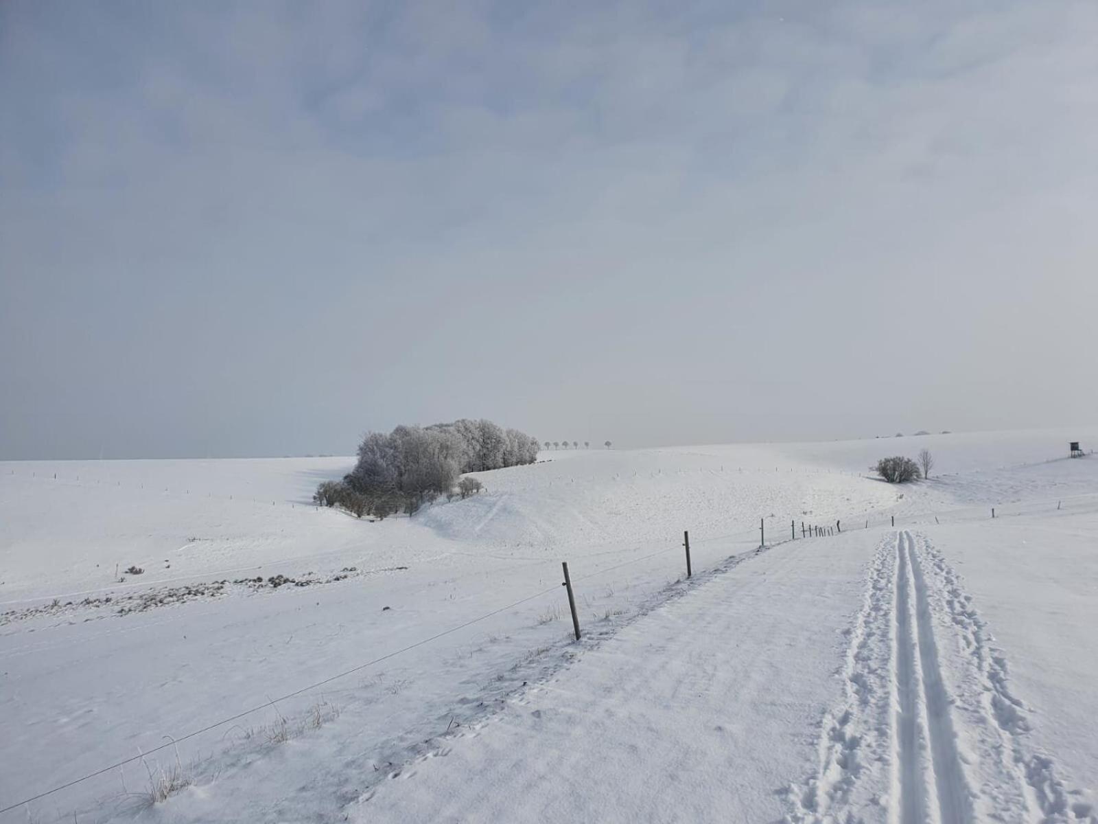 Ferienwohnung Rochlitzer Berg Blick