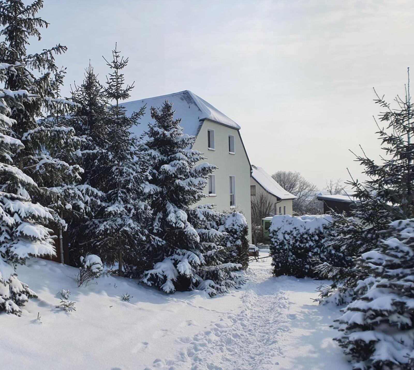 Ferienwohnung Rochlitzer Berg Blick