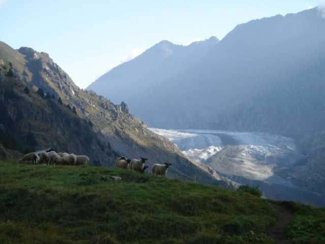 Amoos-Chalet Mischabel-Belalp