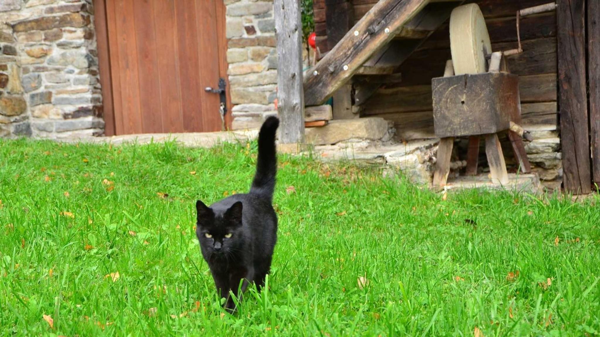 Feldkasten Biohof Lurger