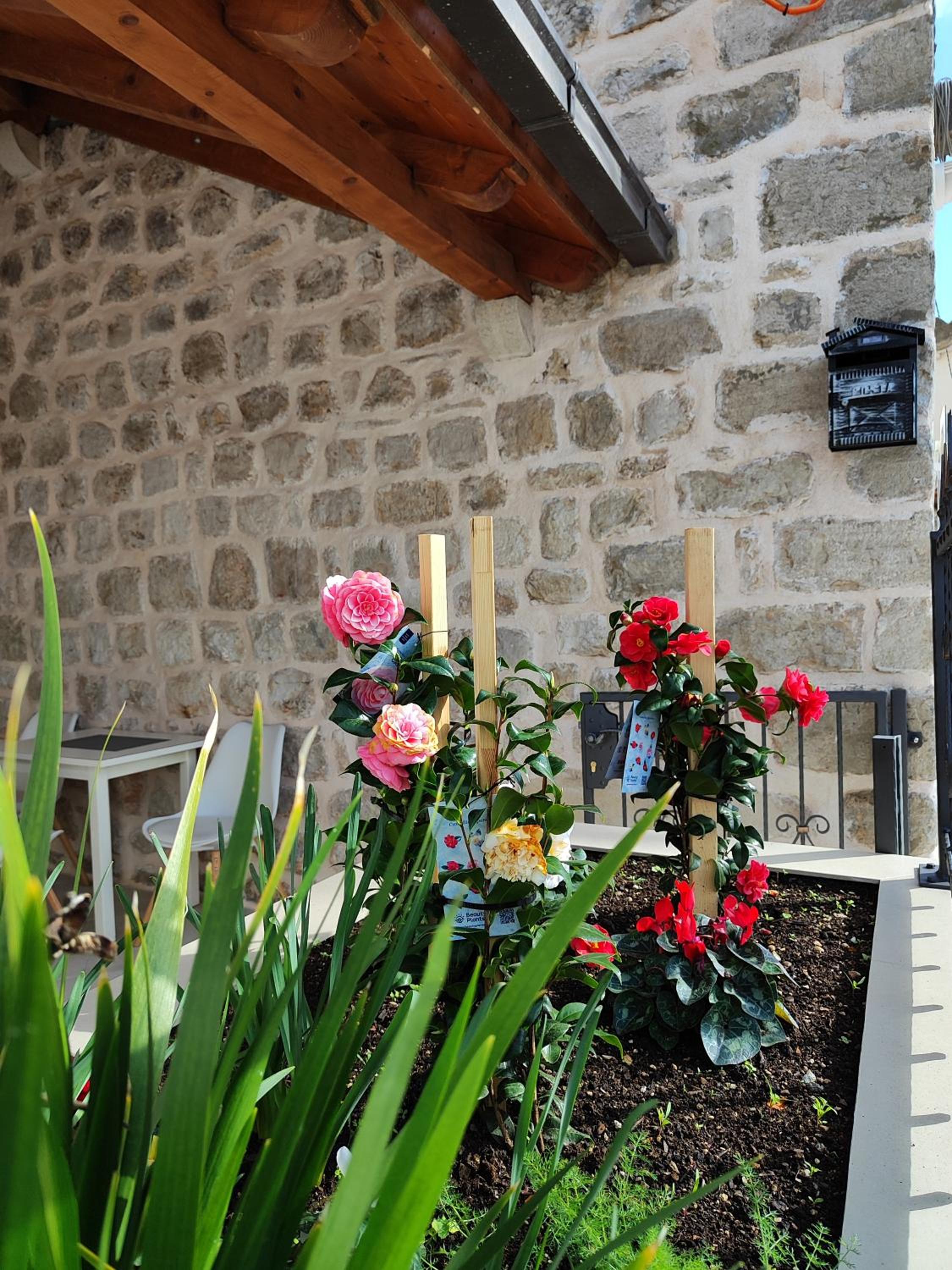 Apartments Harriete