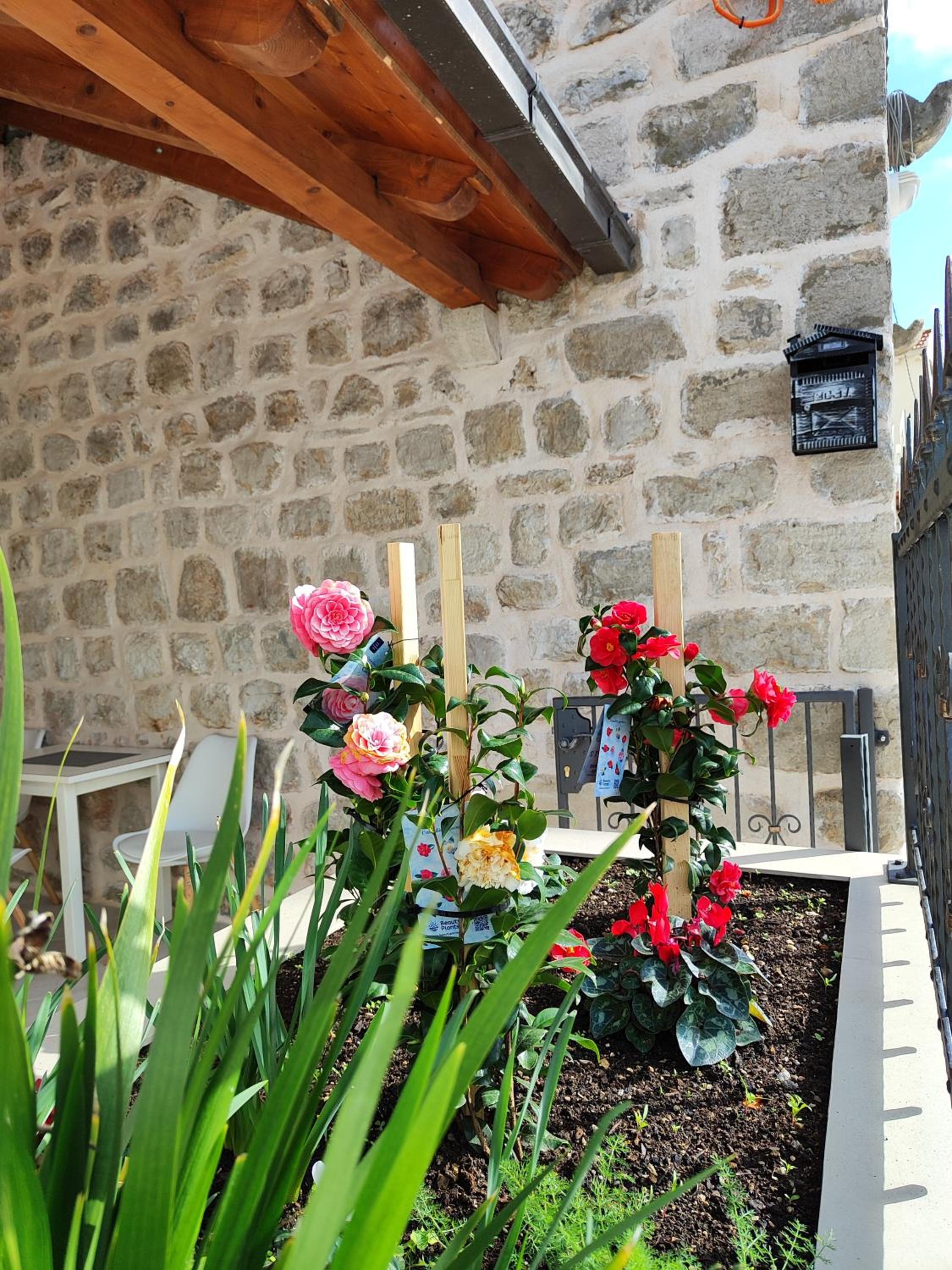 Apartments Harriete