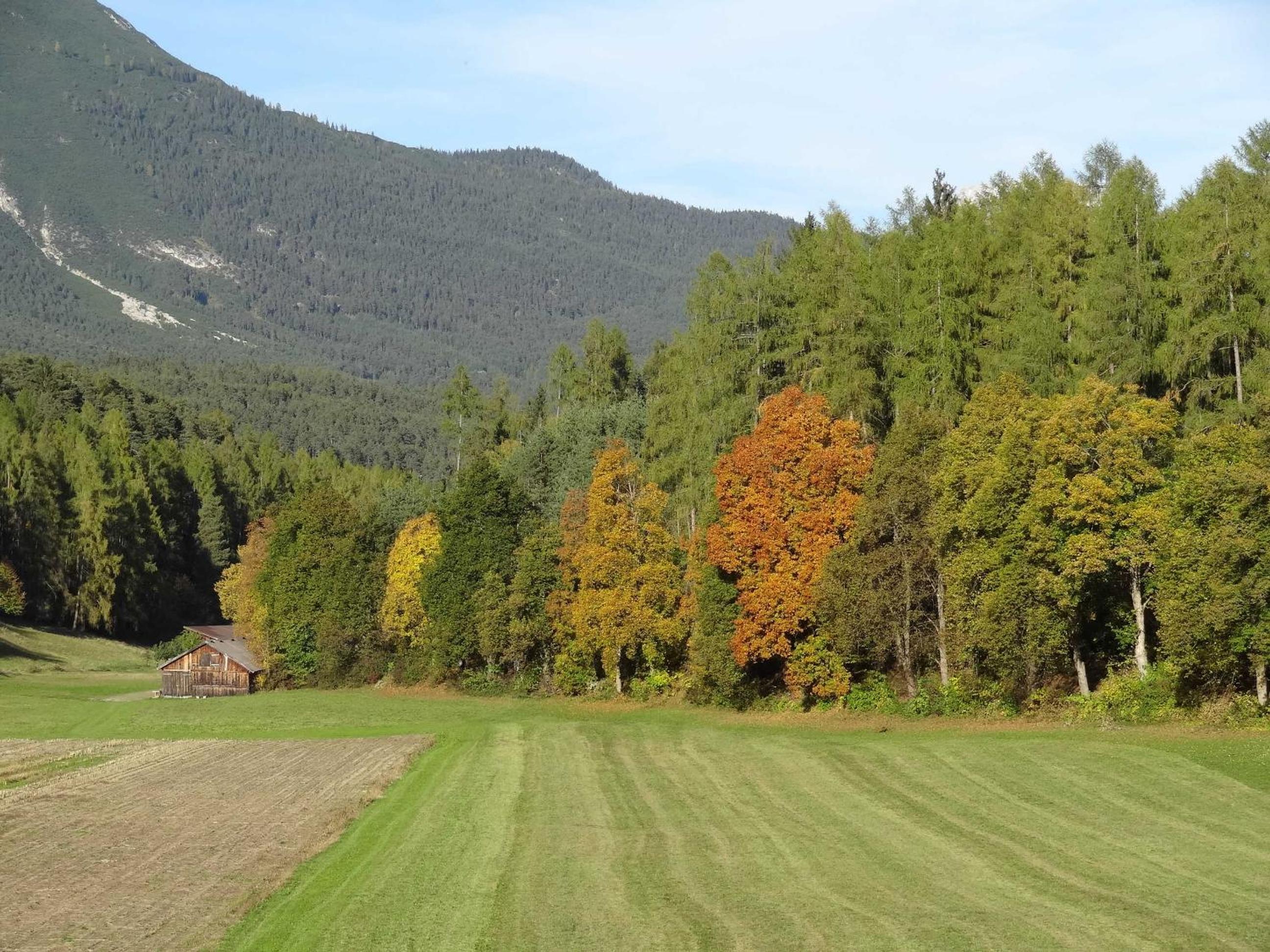 Ferienwohnung Pangratz