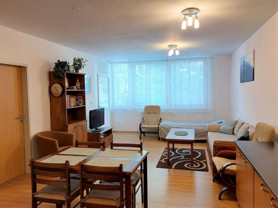 Apartmán s parkovaním priamo na Štrbskom Plese view 2
