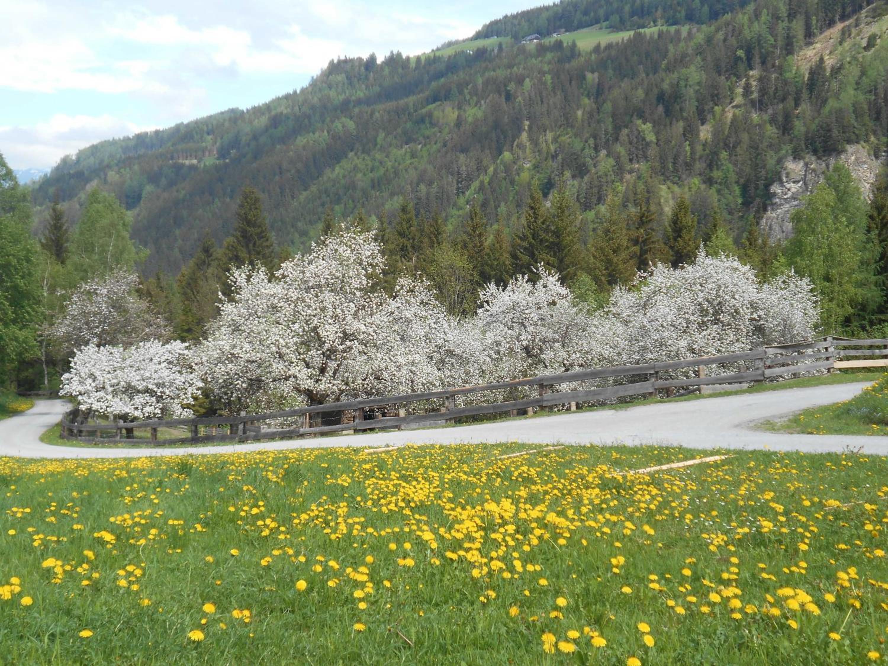 Umundum Hütte