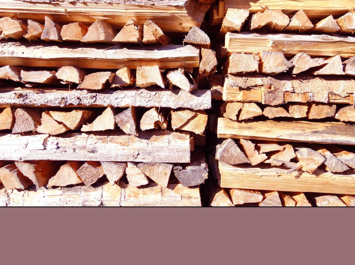 Holztau