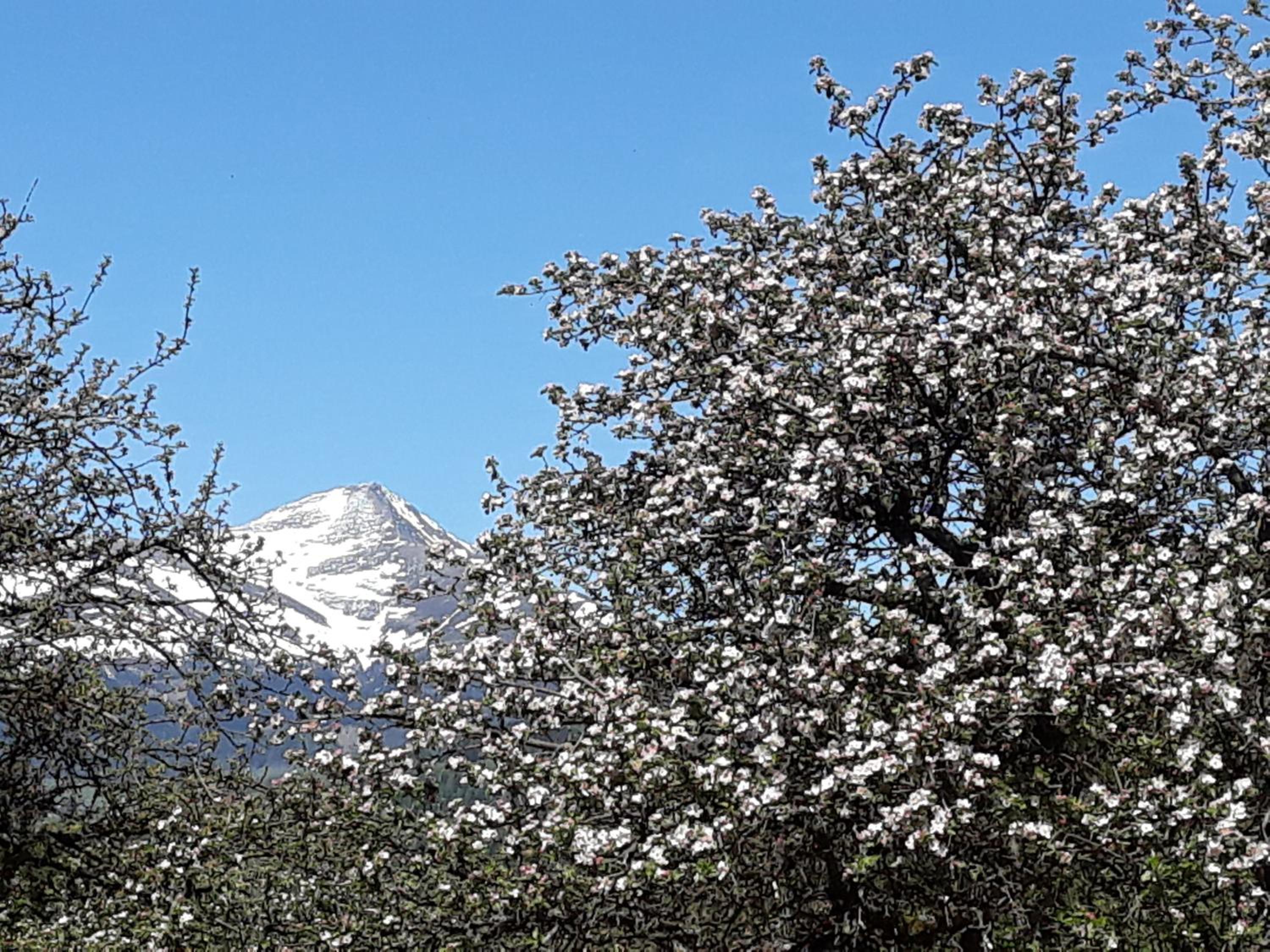 Umundum Hütte