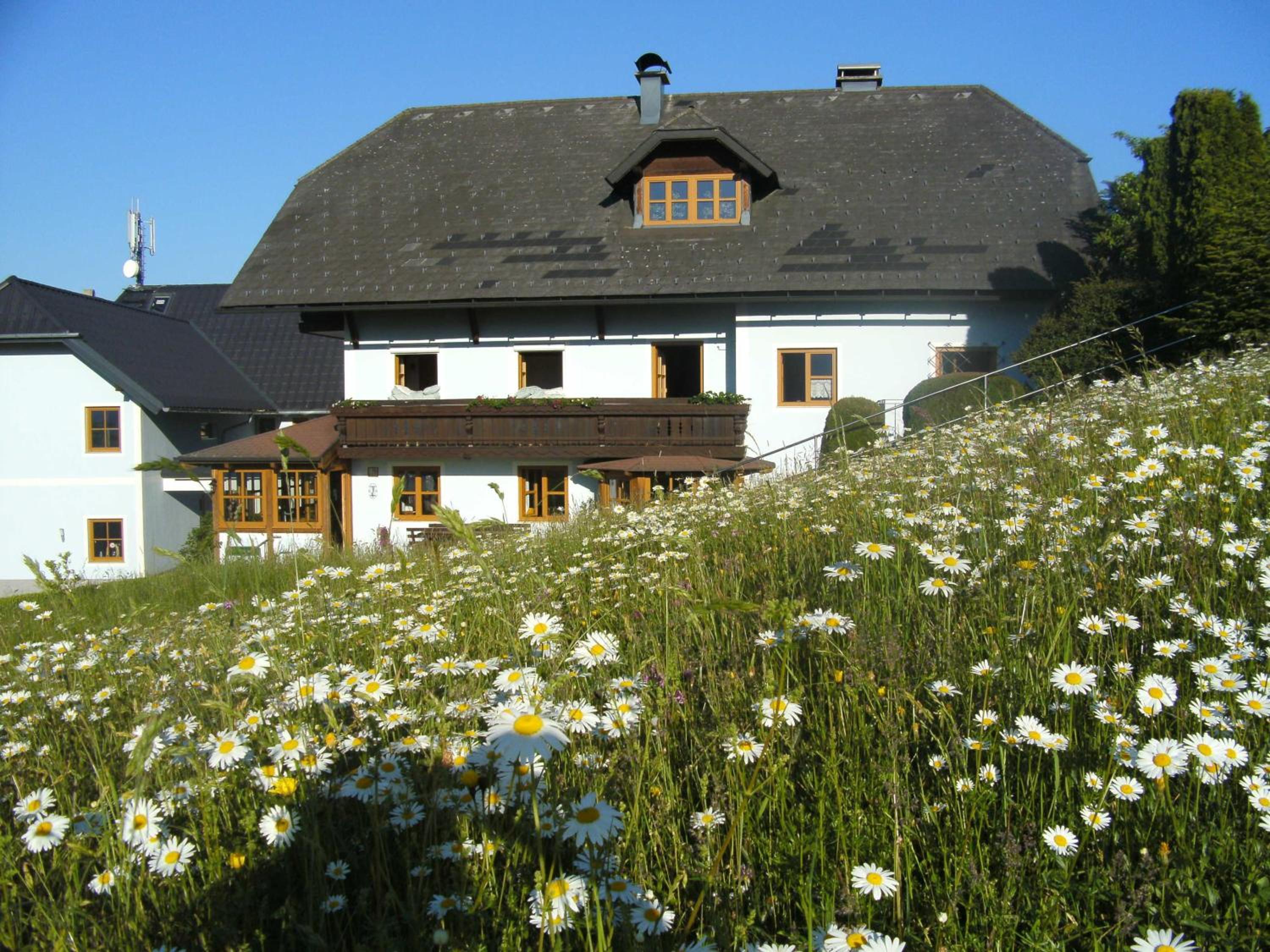 Minabauer