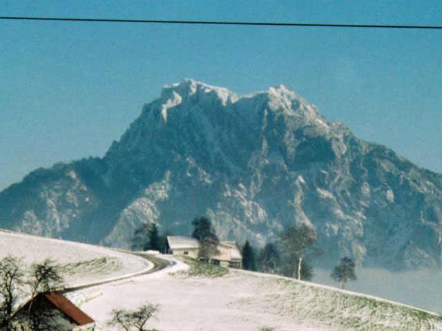Minabauer