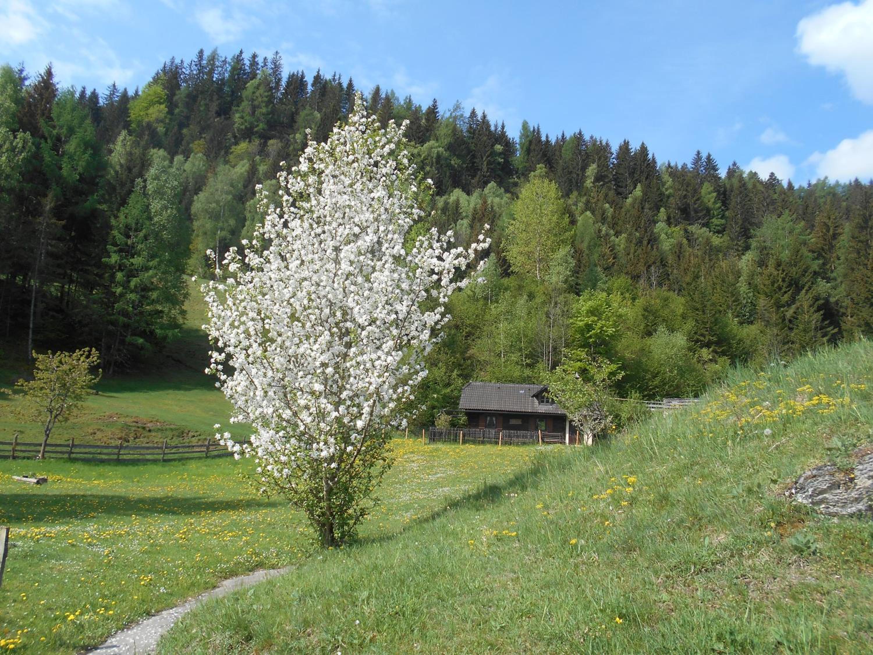 Umundum Hütte