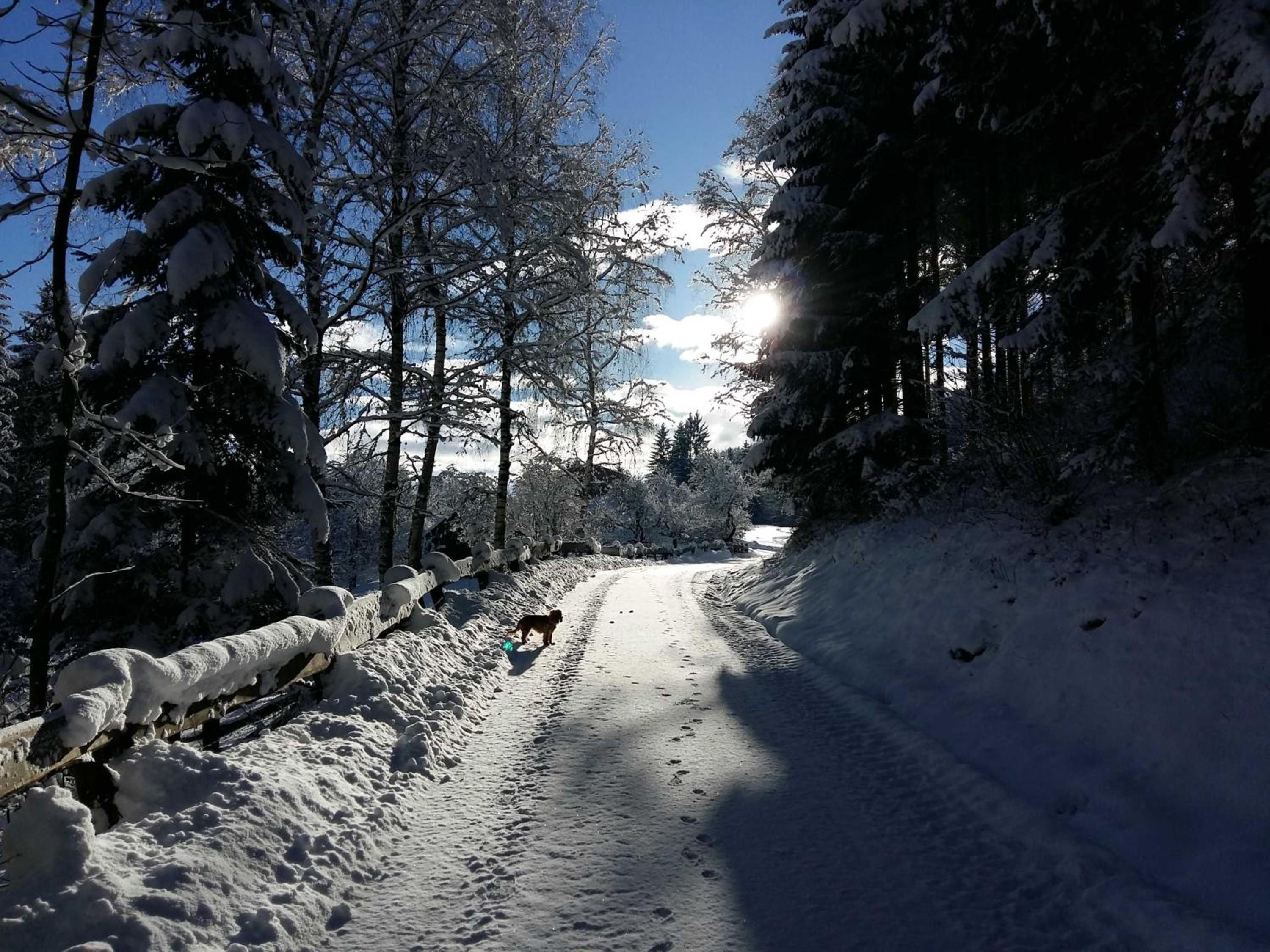 Umundum Hütte