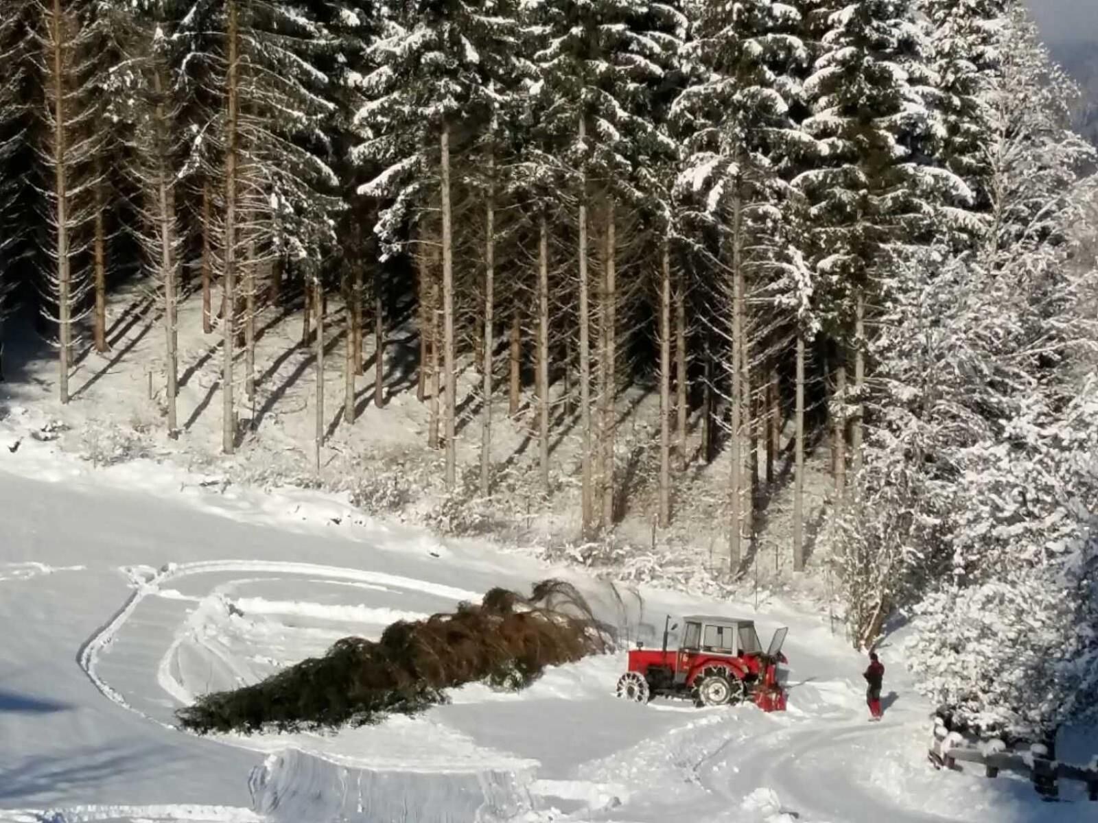Umundum Hütte