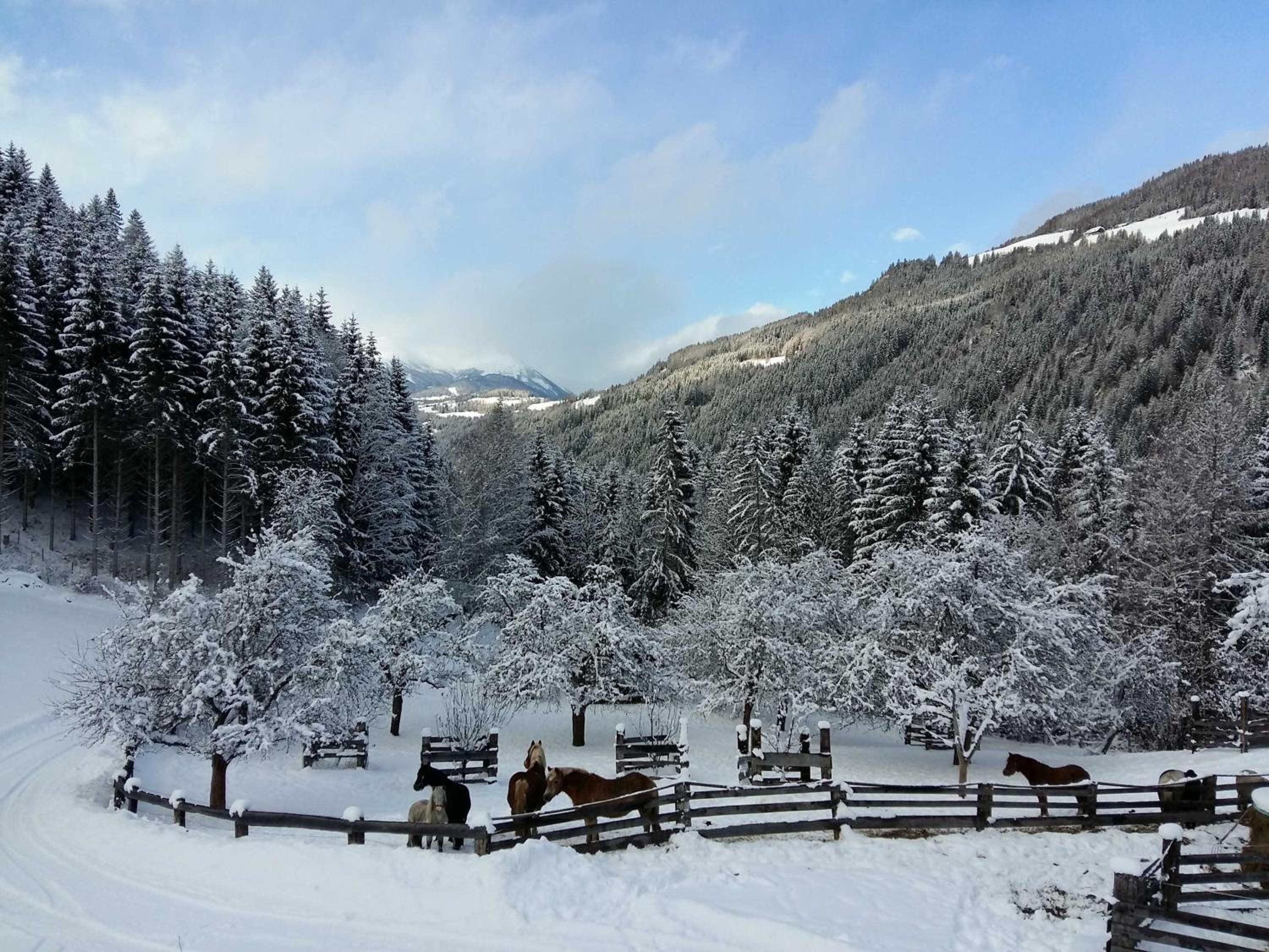 Umundum Hütte