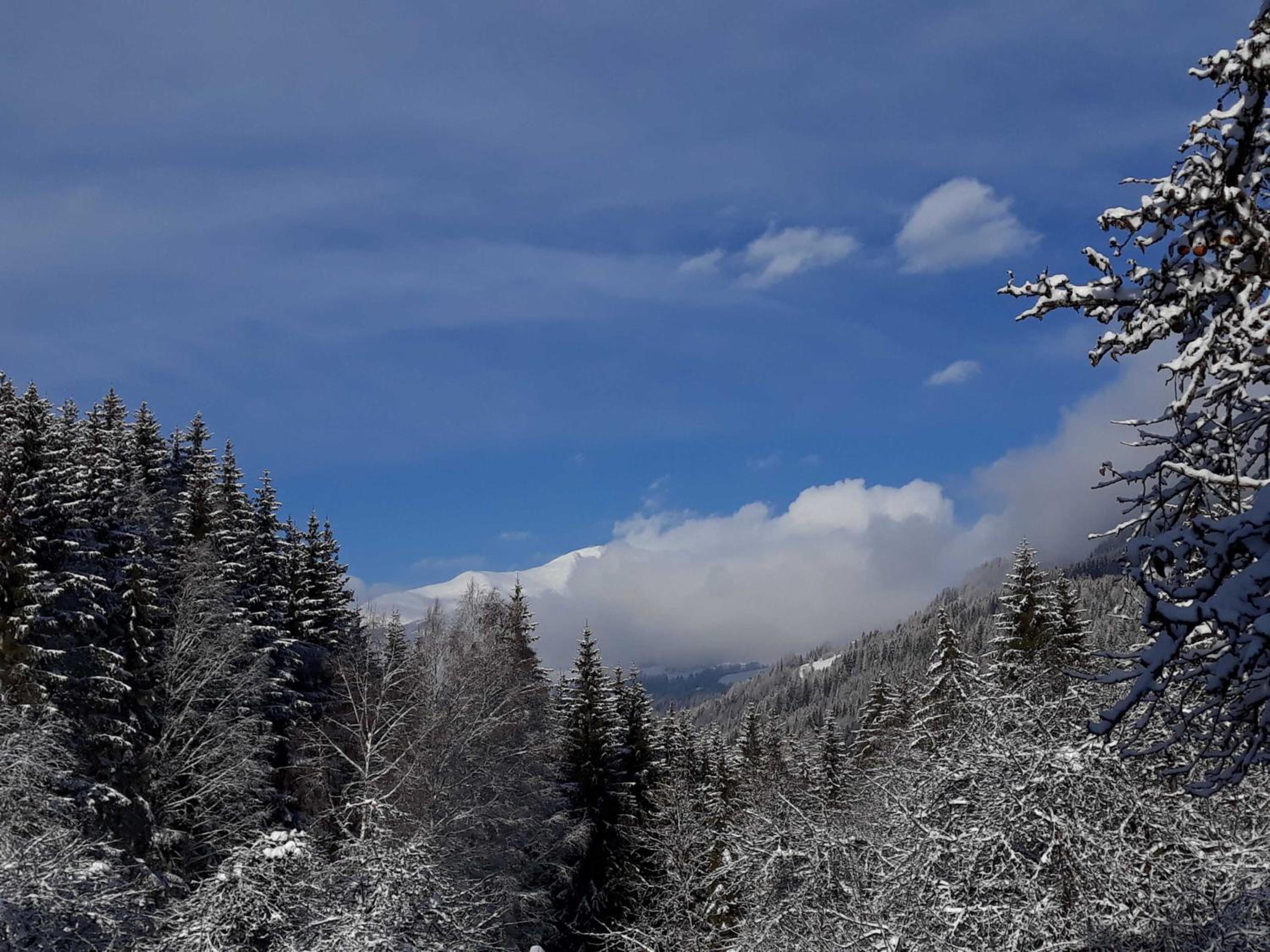 Umundum Hütte