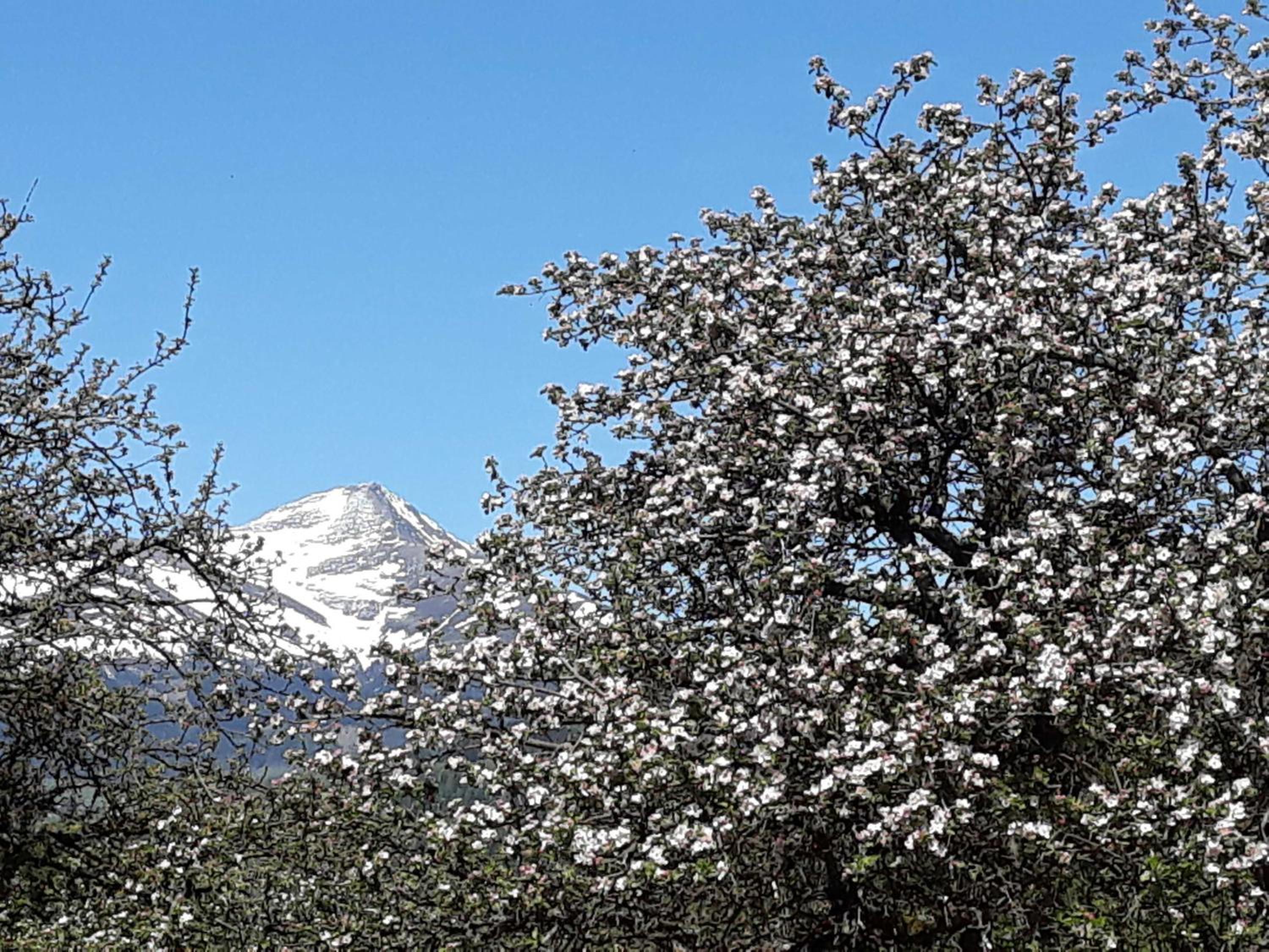 Umundum Hütte
