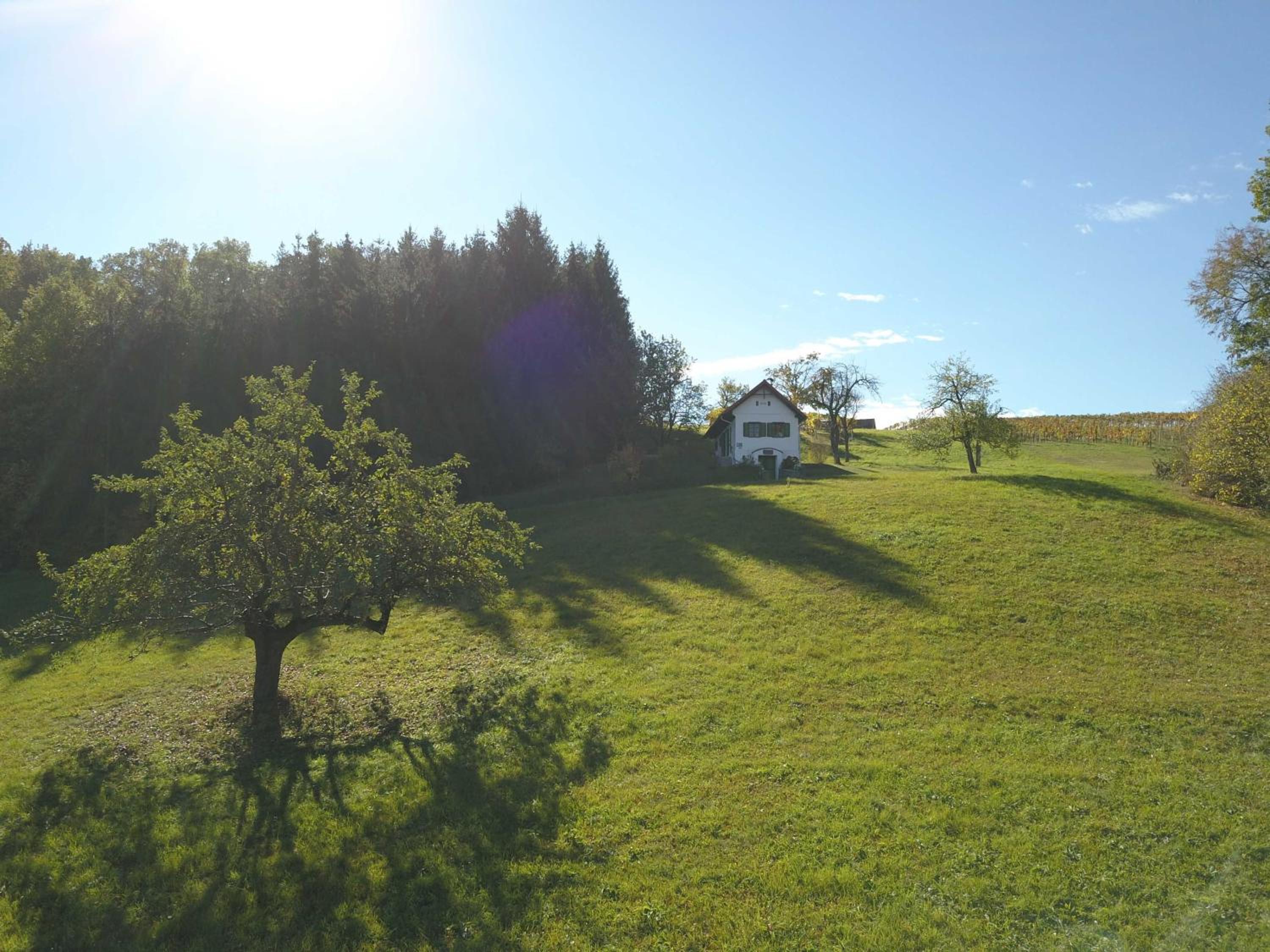 Kellerstöckl Leitner