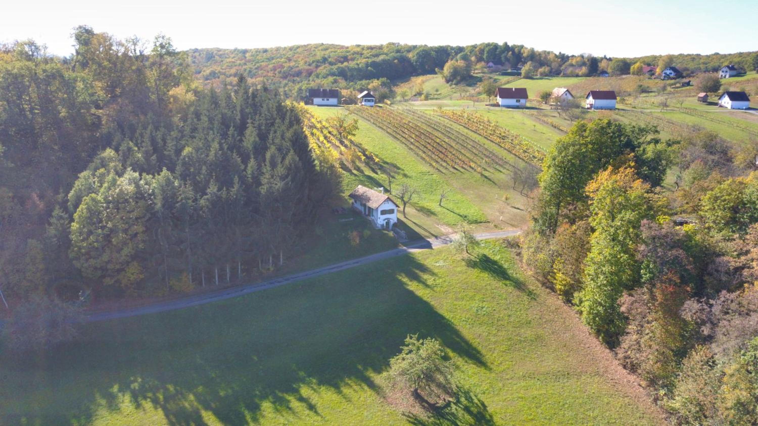 Kellerstöckl Leitner