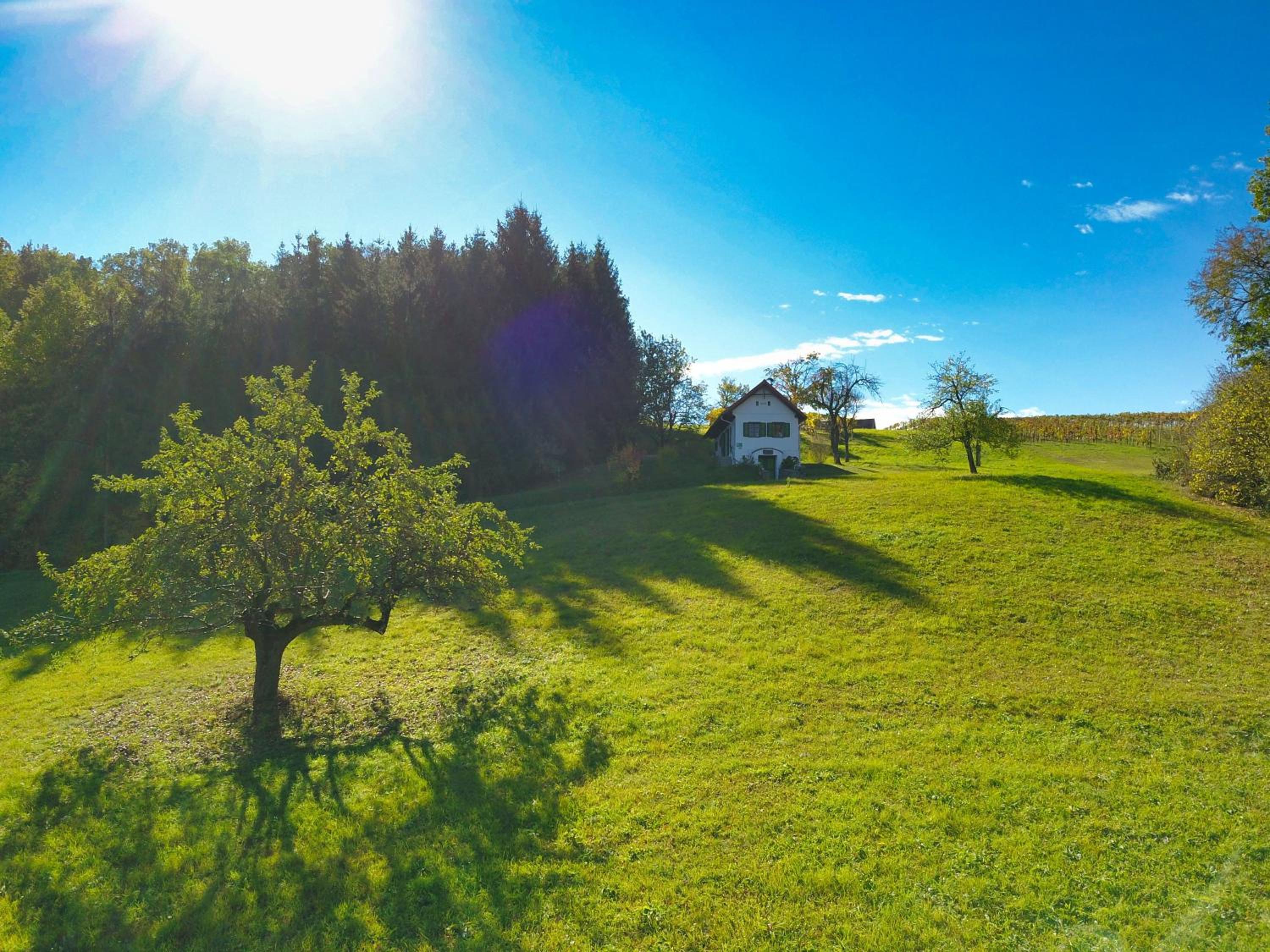 Kellerstöckl Leitner