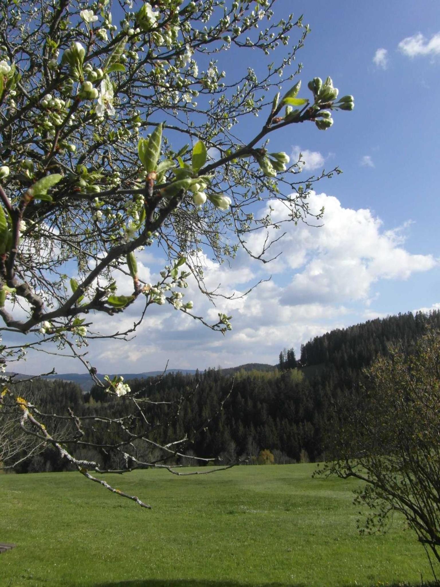 Pircherhof - Urlaub und Erholung im Troadkost'n