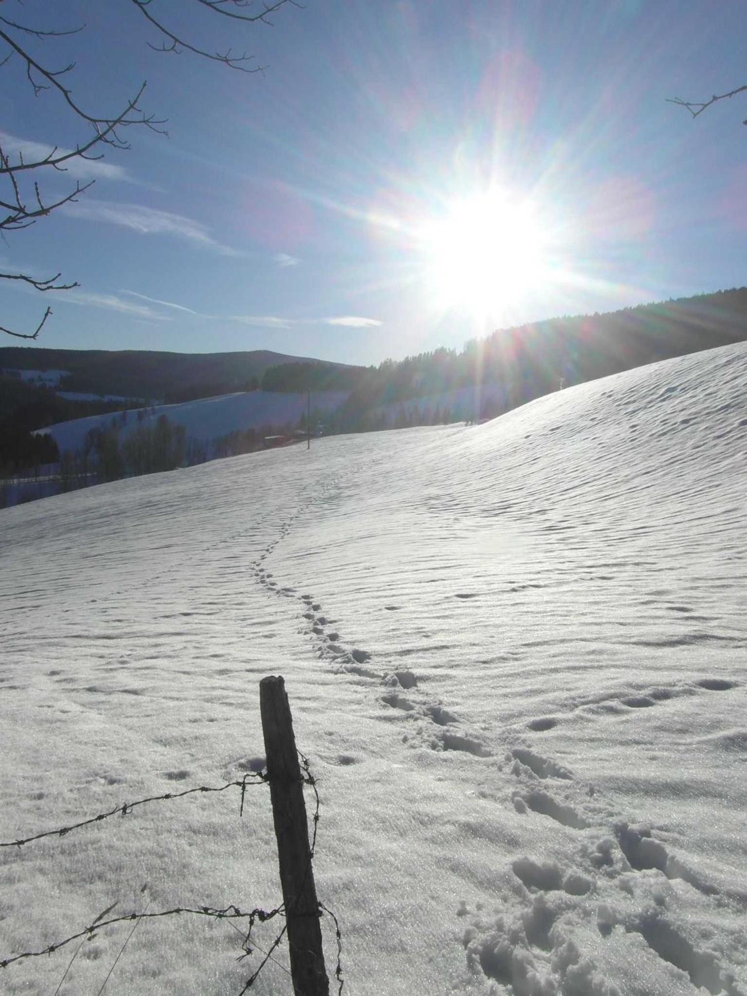 Pircherhof - Urlaub und Erholung im Troadkost'n