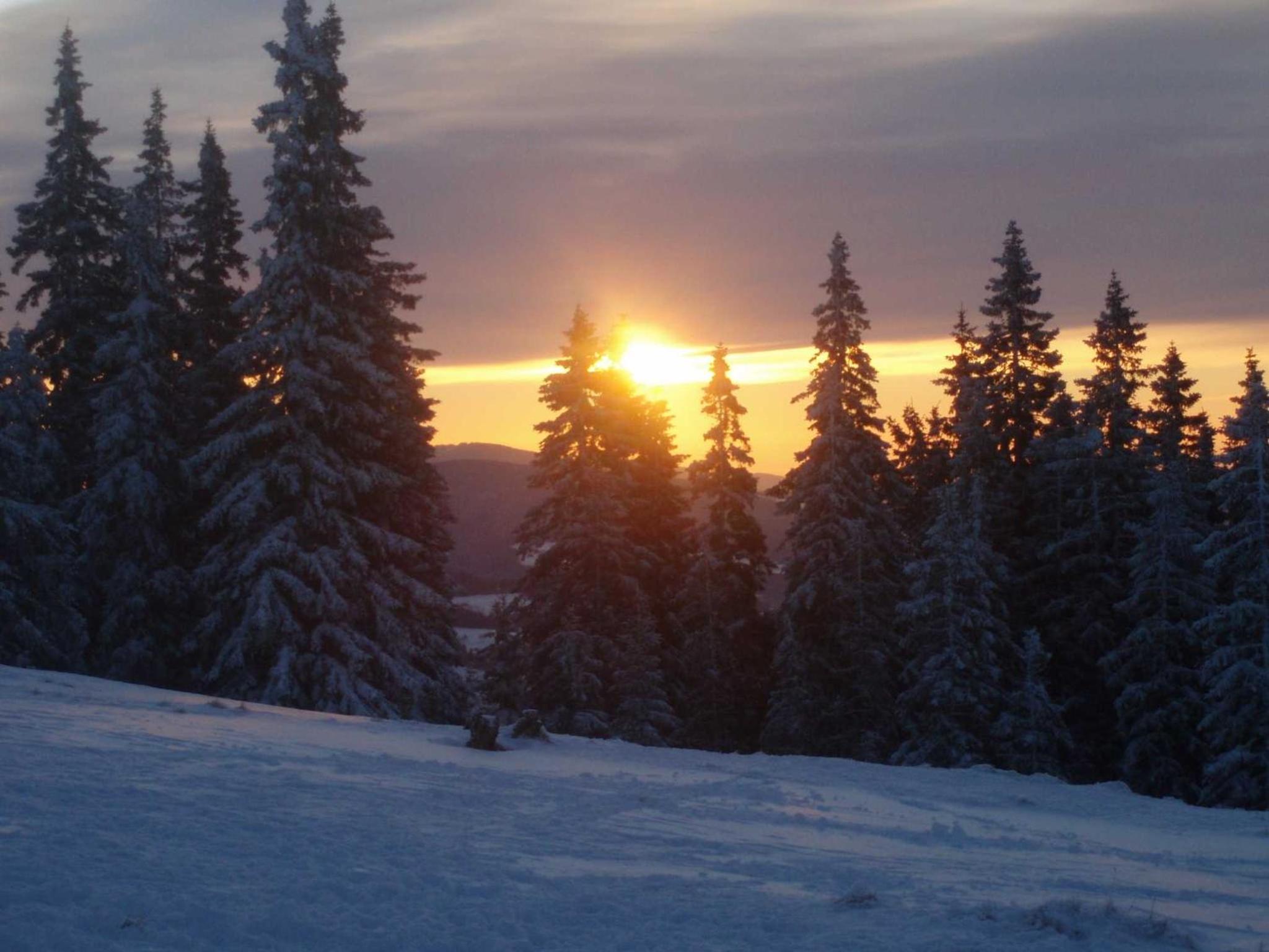 Pircherhof - Urlaub und Erholung im Troadkost'n