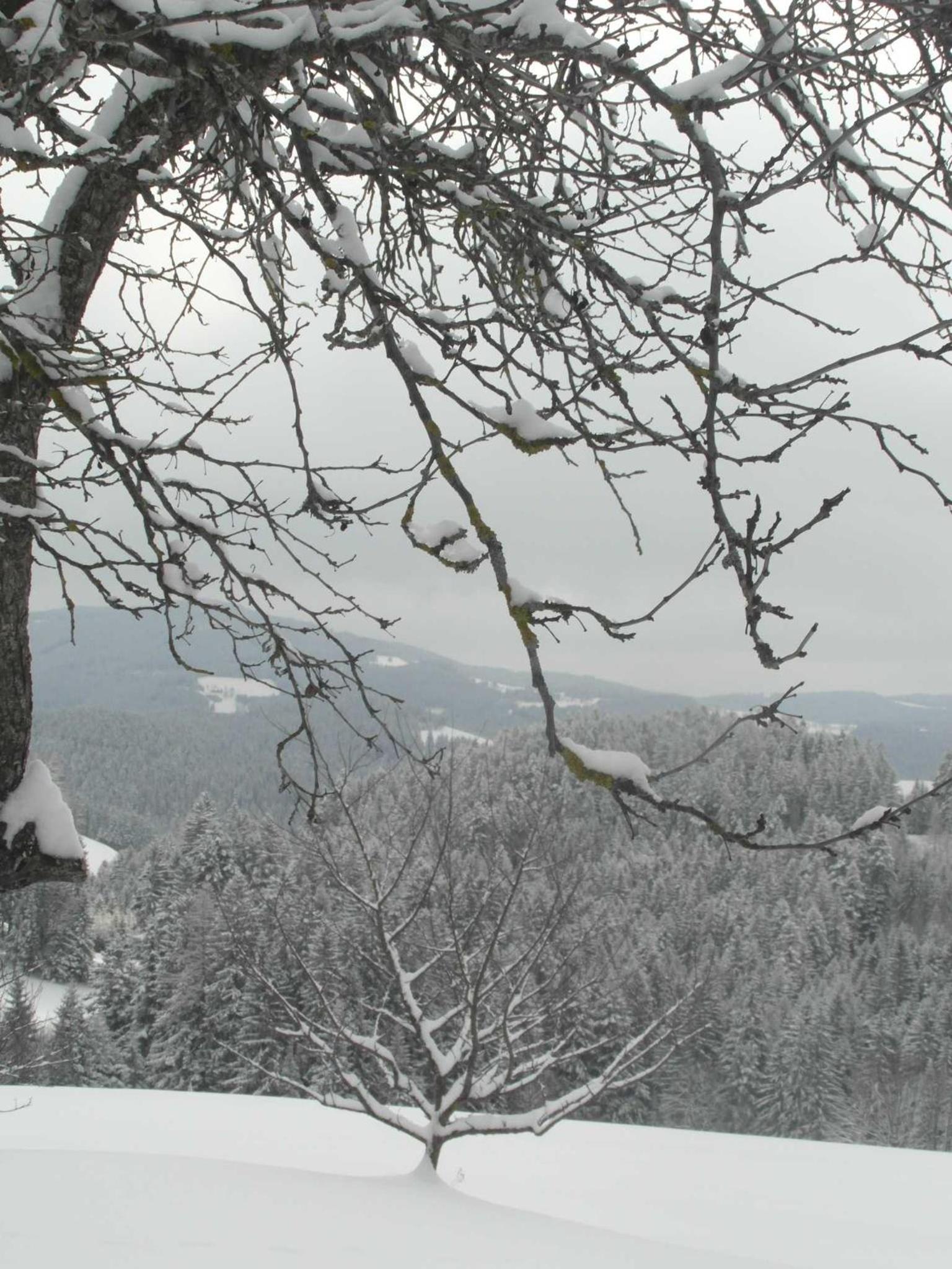 Pircherhof - Urlaub und Erholung im Troadkost'n
