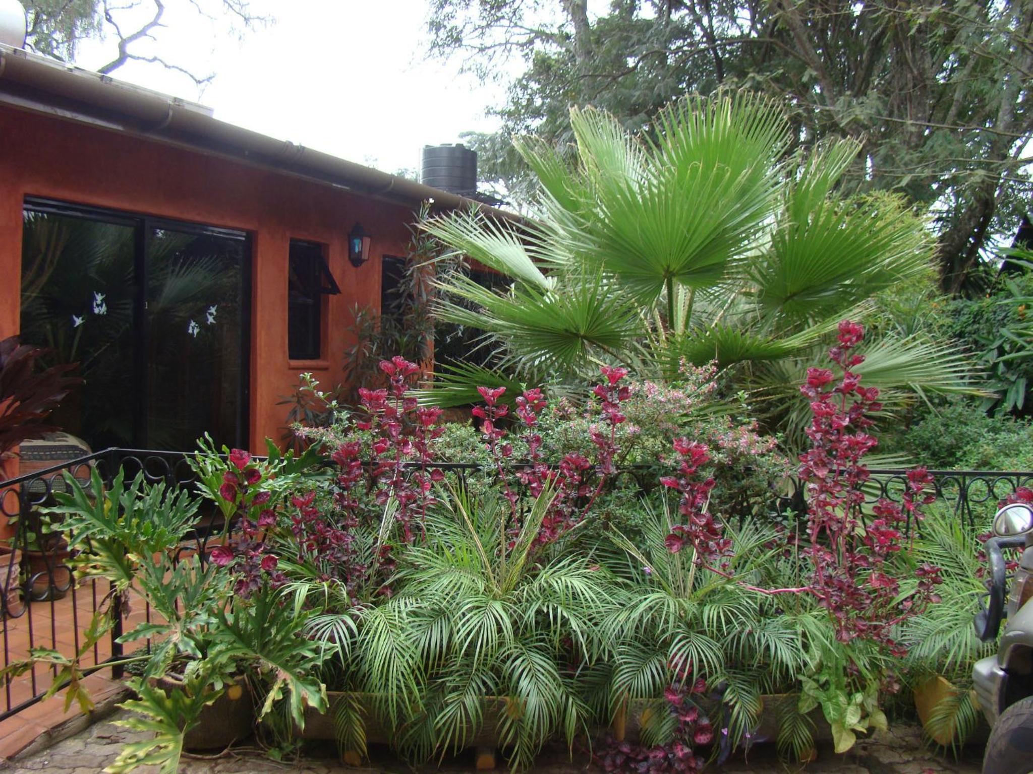 Photo 44
