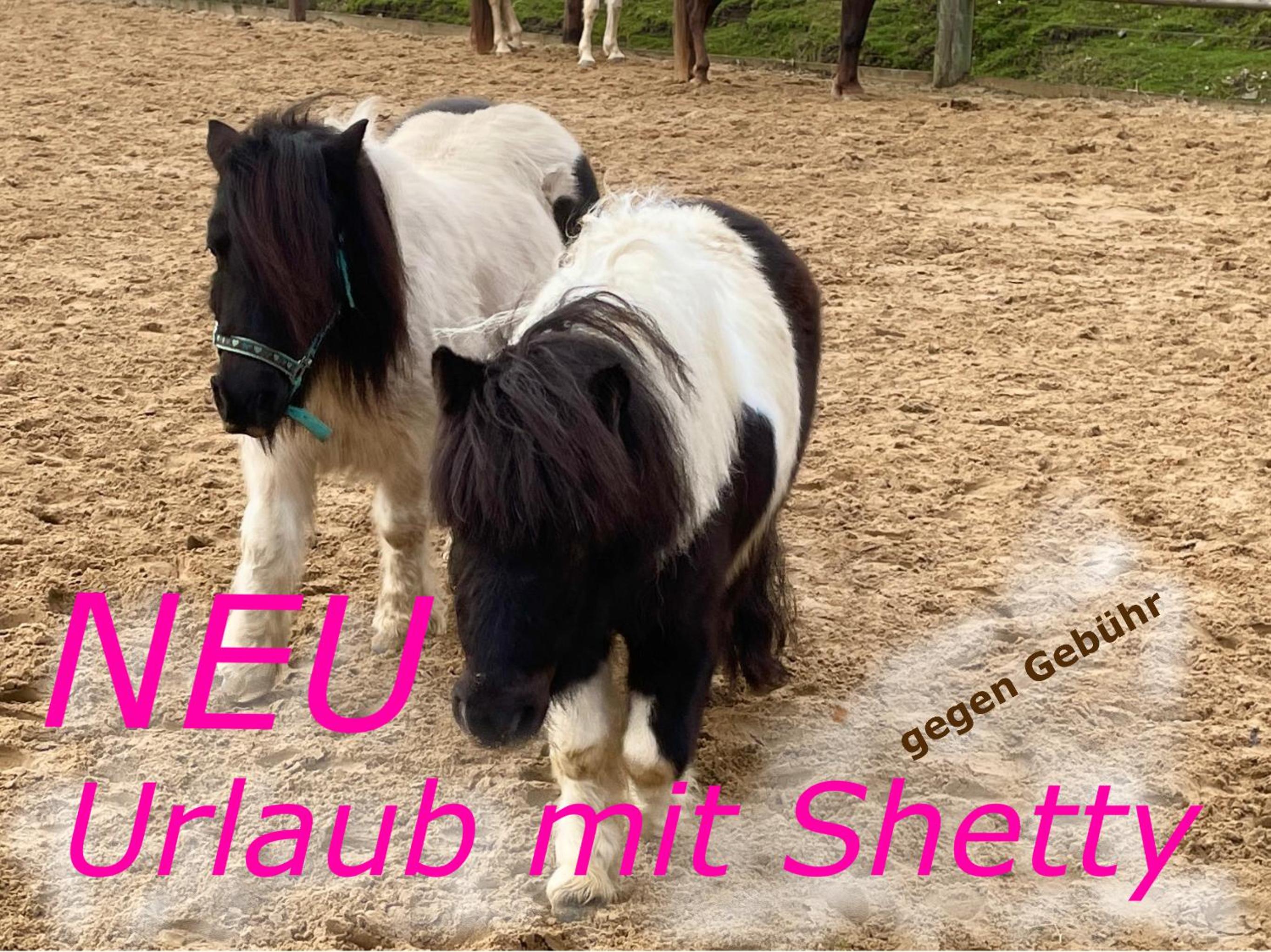 Revival Ranch Ferienwohnung