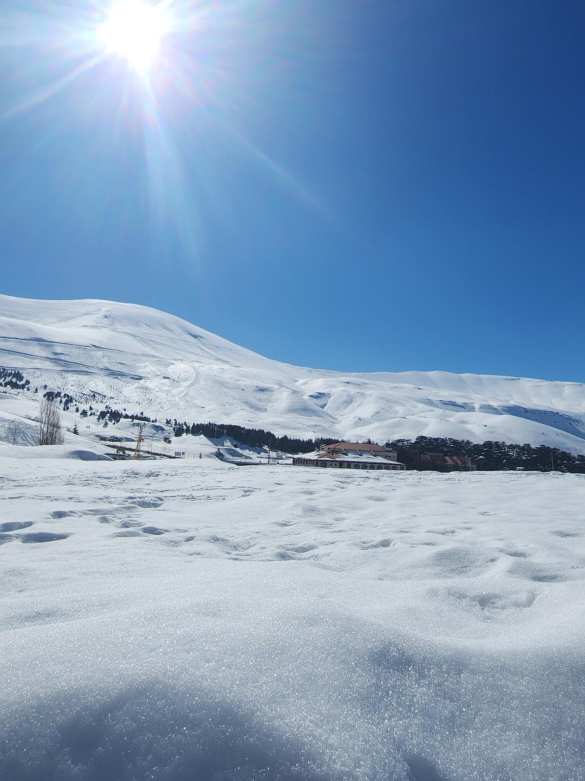 Cedars Palace