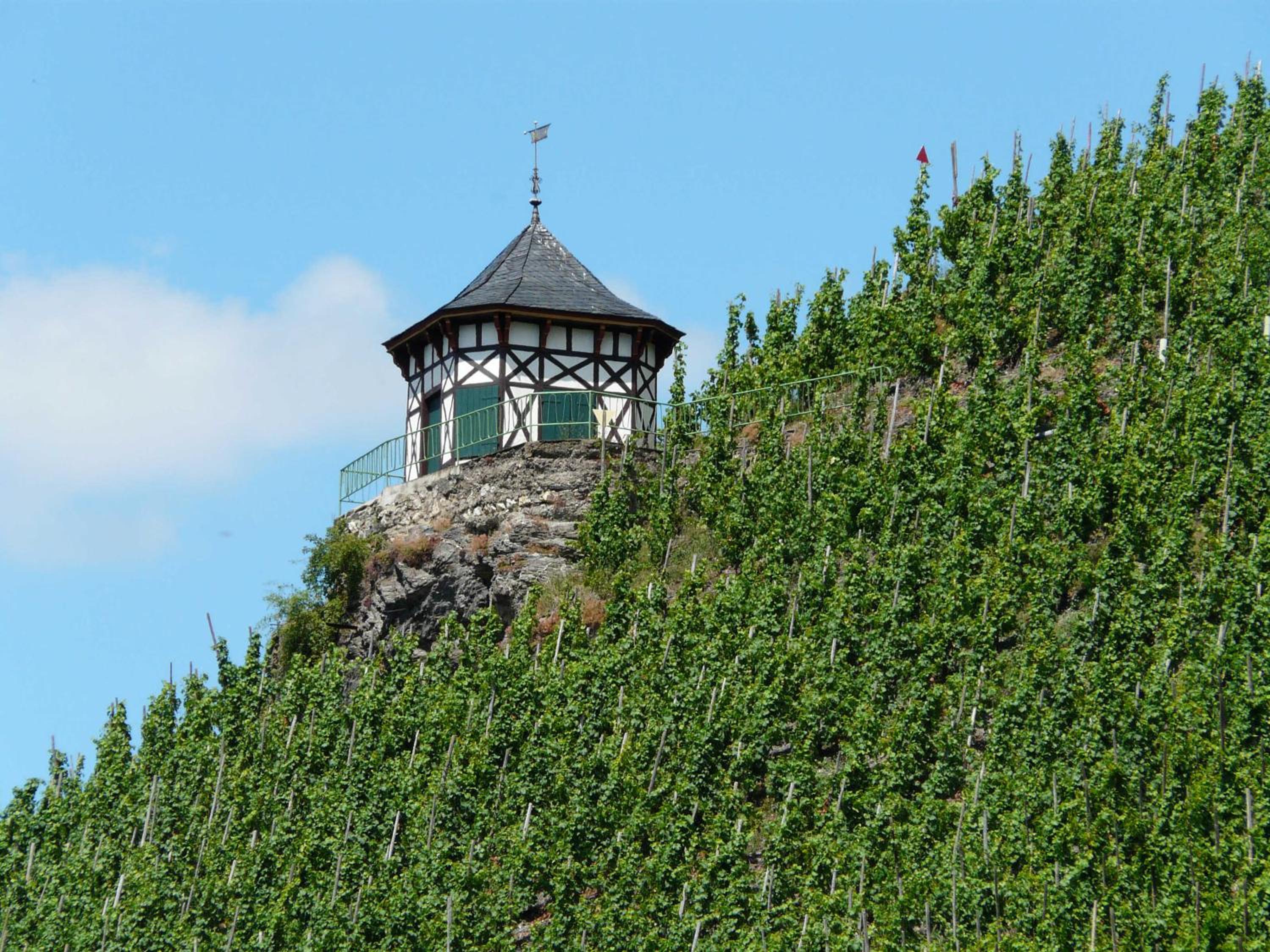 Moselfrische
