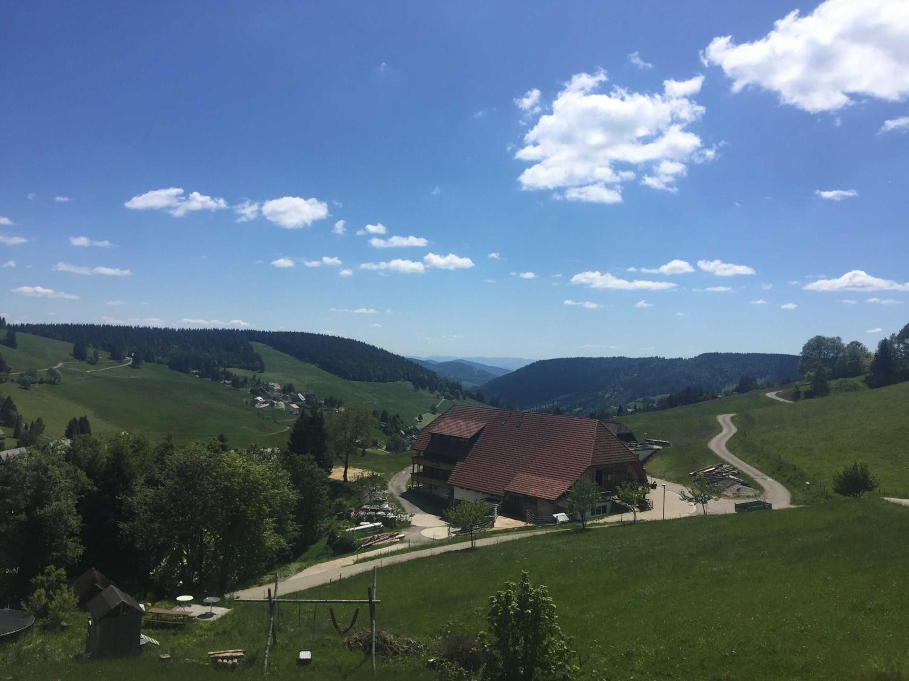 Fewo Schwarzwald 1060m view 5