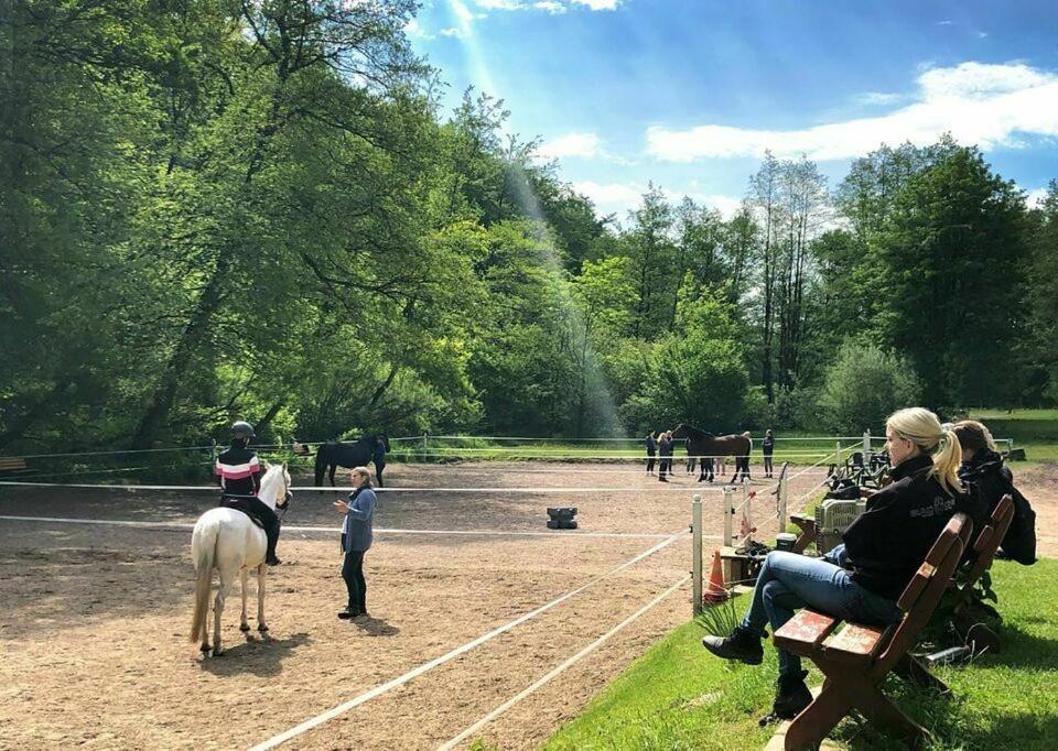 Ferienwohnung auf einem Reiterhof