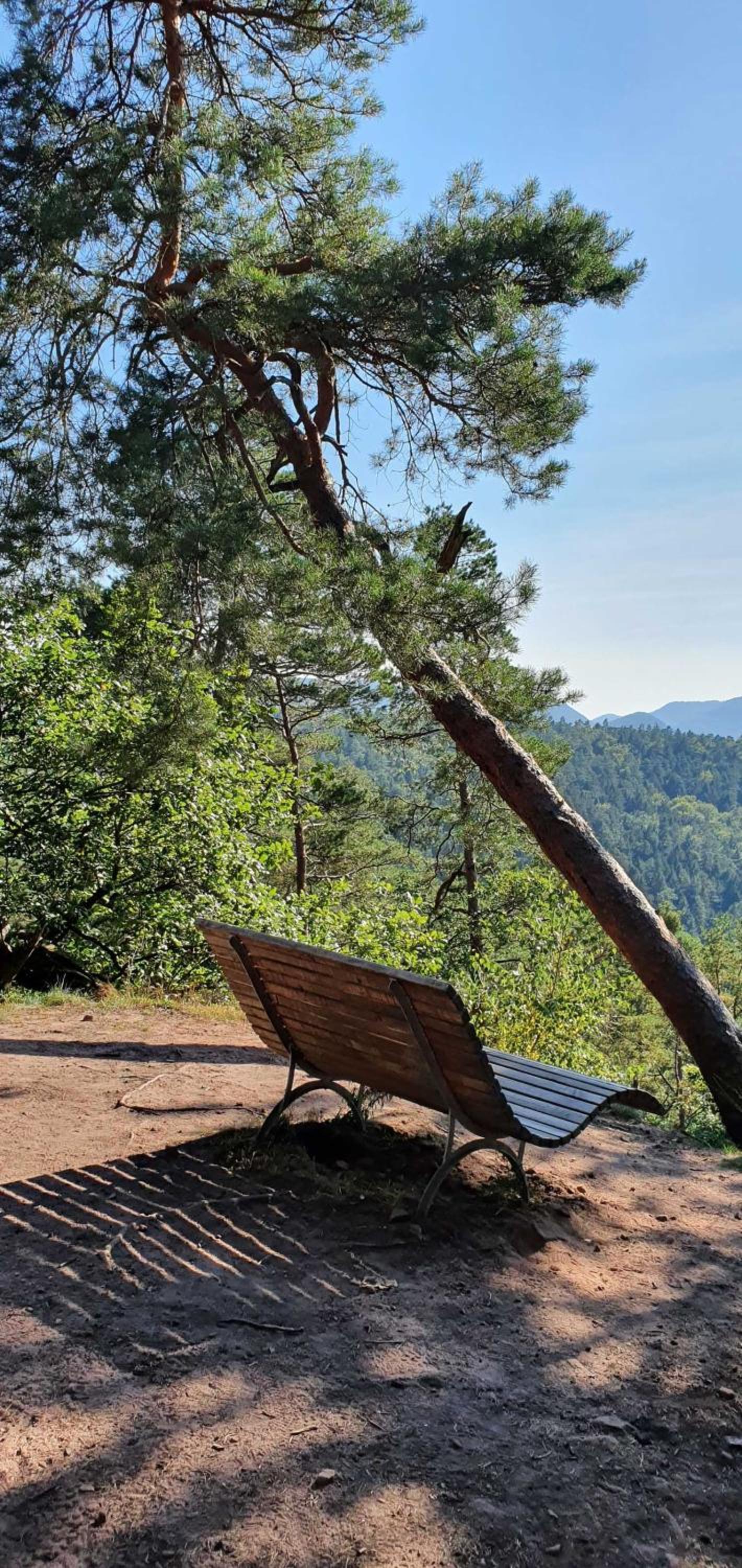 Ferienhaus Korn mitten im schönen Pfälzer Wald, Privat Haus
