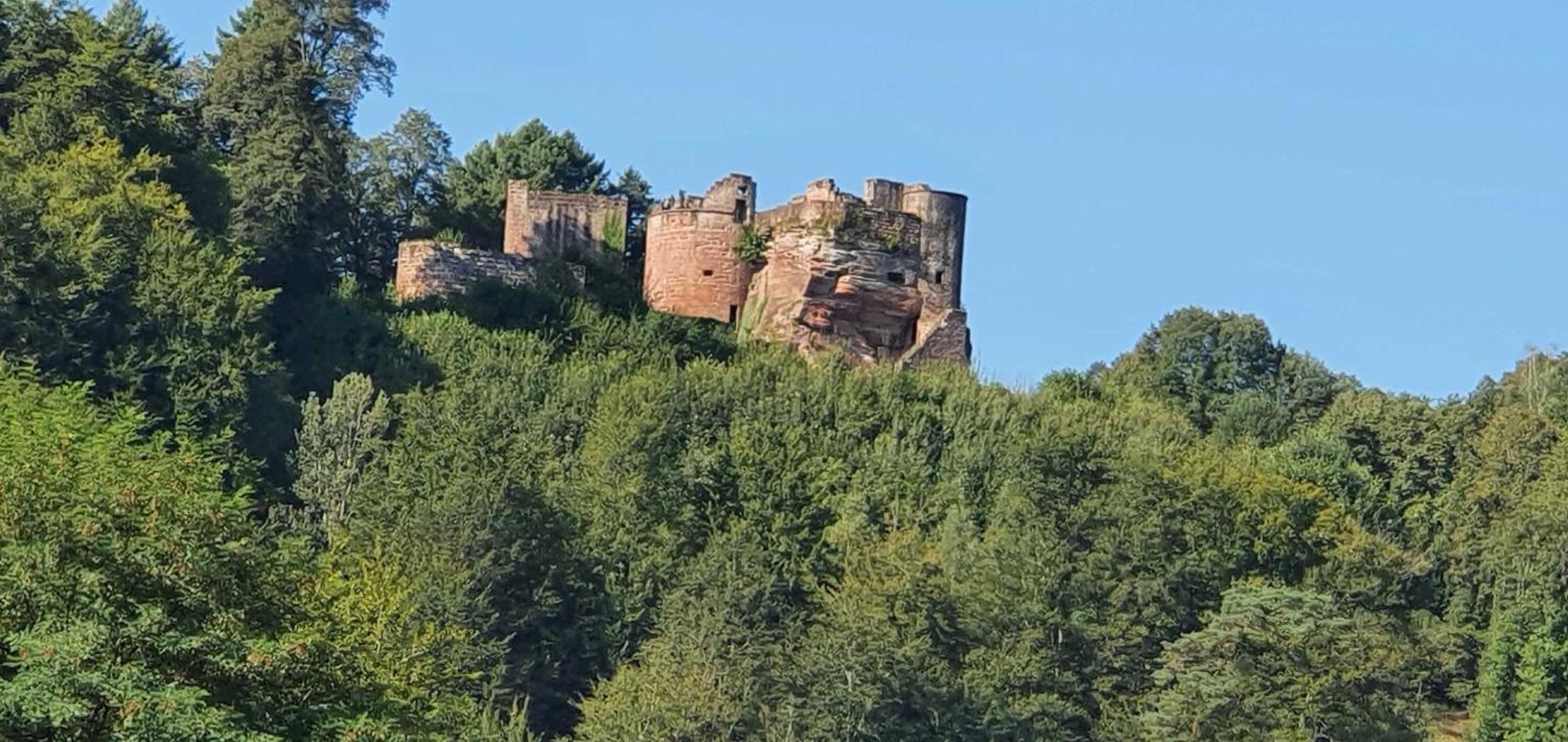 Ferienhaus Korn mitten im schönen Pfälzer Wald, Privat Haus