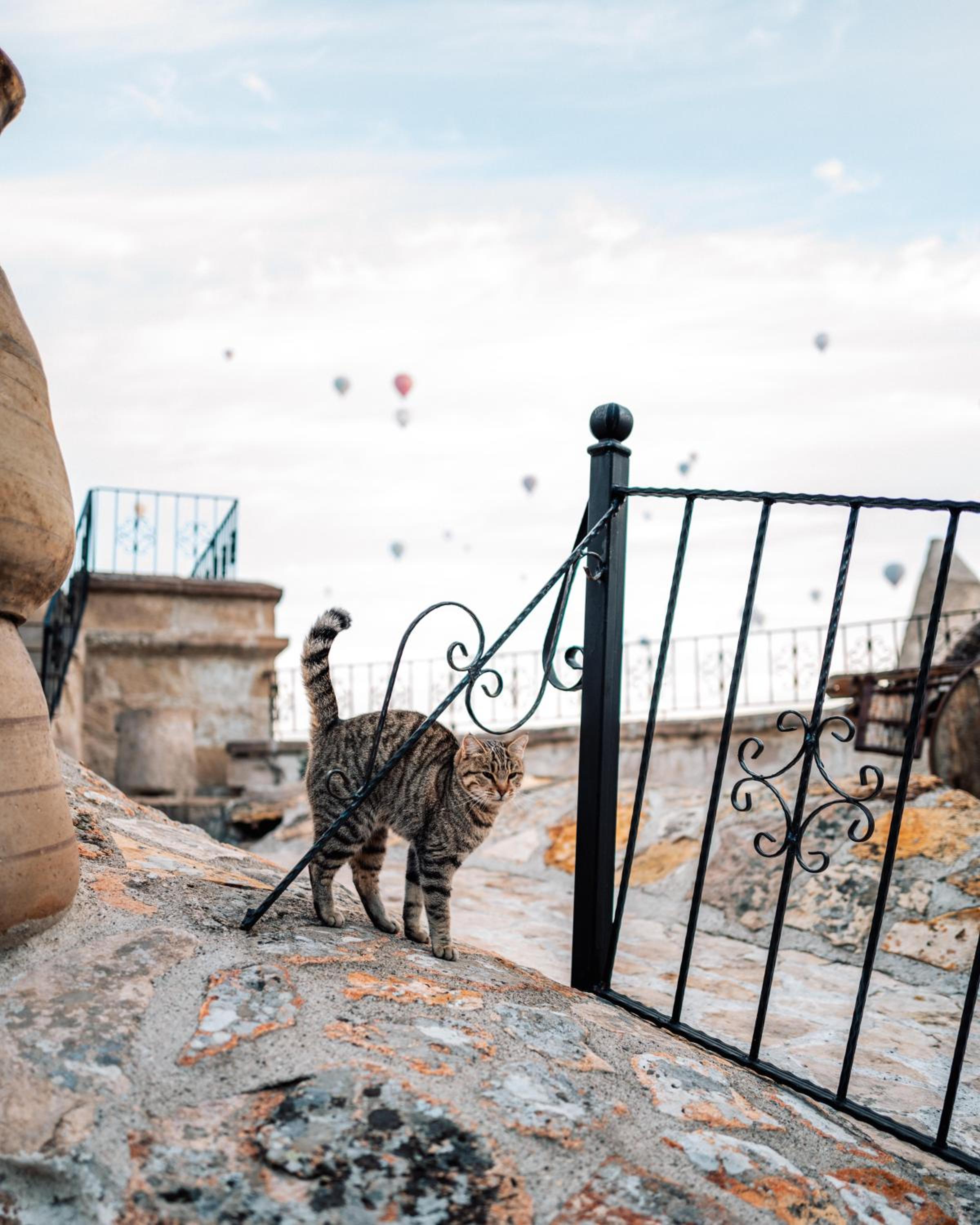 Cappadocia Cave Süitleri - Image 48