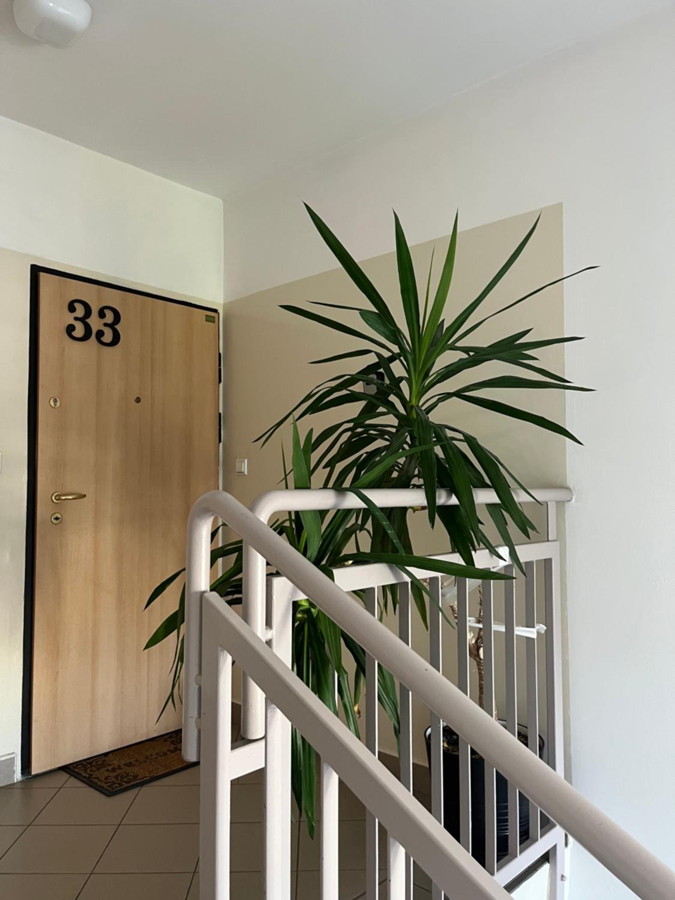 Apartament Sołtysowska- garaż bezpłatny, NEAR Tauron Arena, EXPO