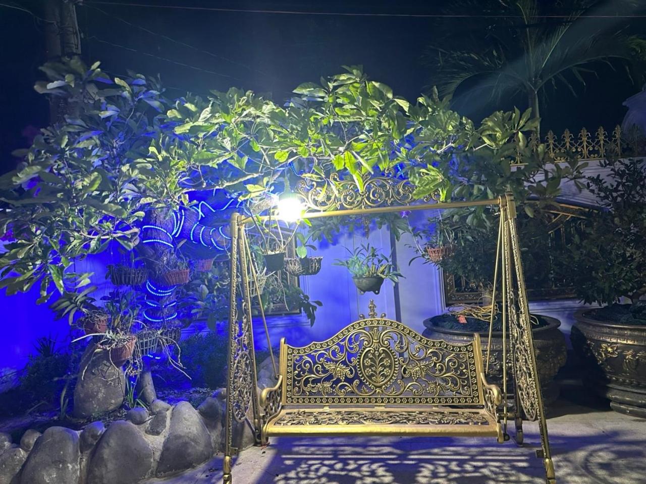Dream House Homestay