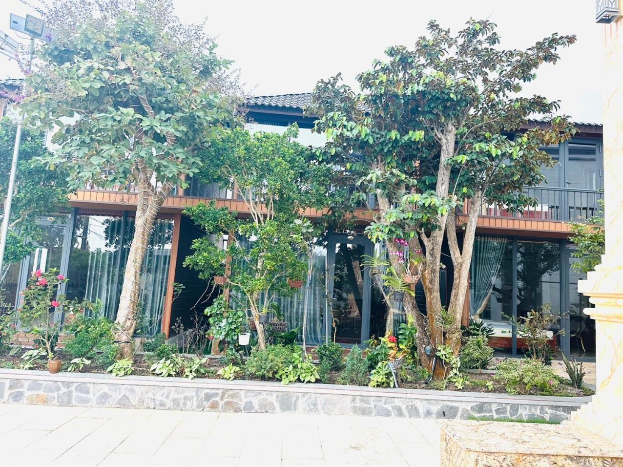 Dream House Homestay