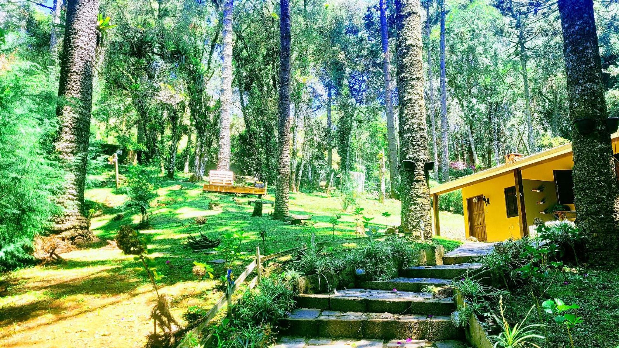 RDS - Chalets in the middle of nature Campos do Jordão-SP