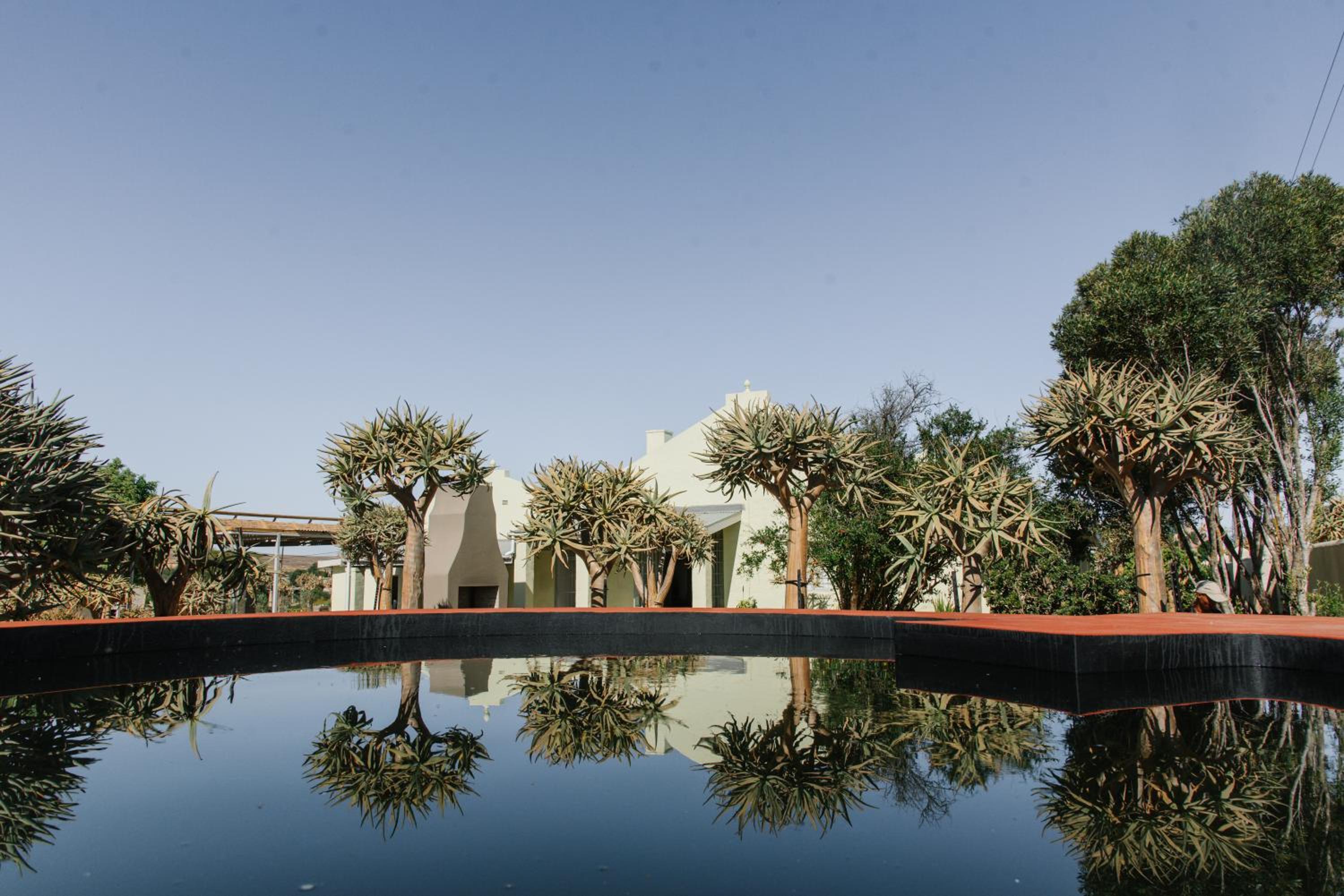 Kokerboom House