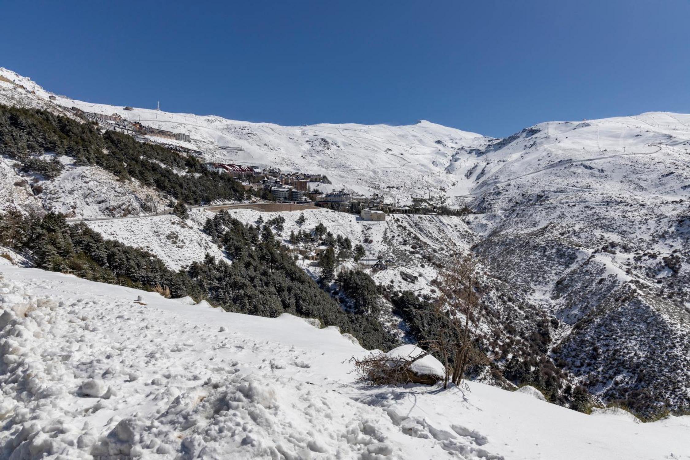 BiBo Suites Sierra Nevada