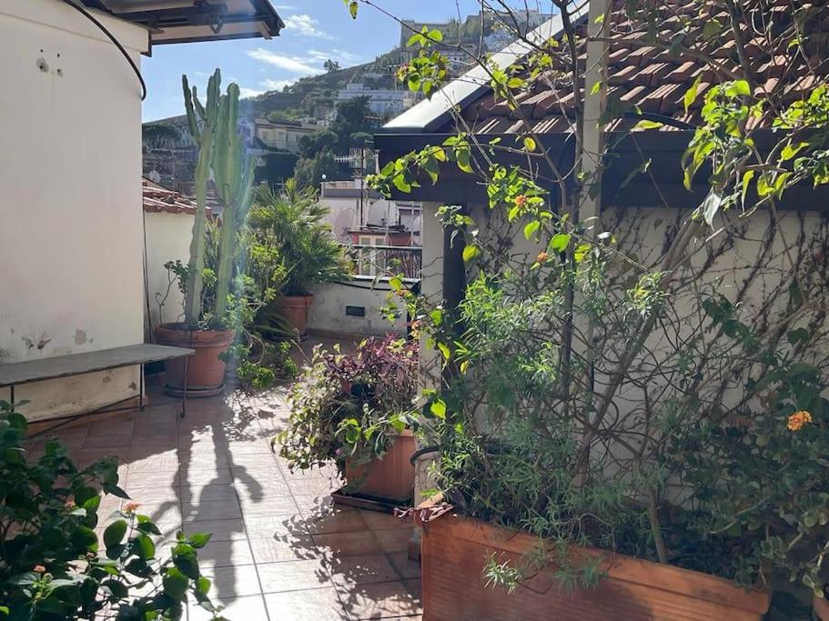 Penthouse Ventaglieri with Panoramic Terrace