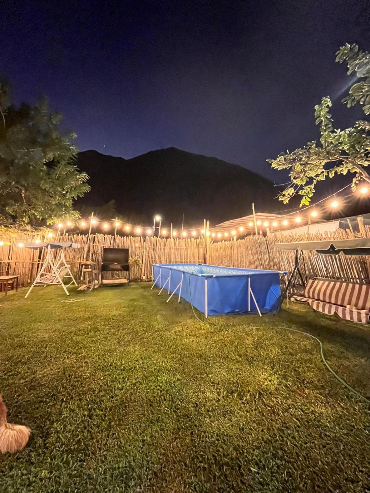 Photo 46