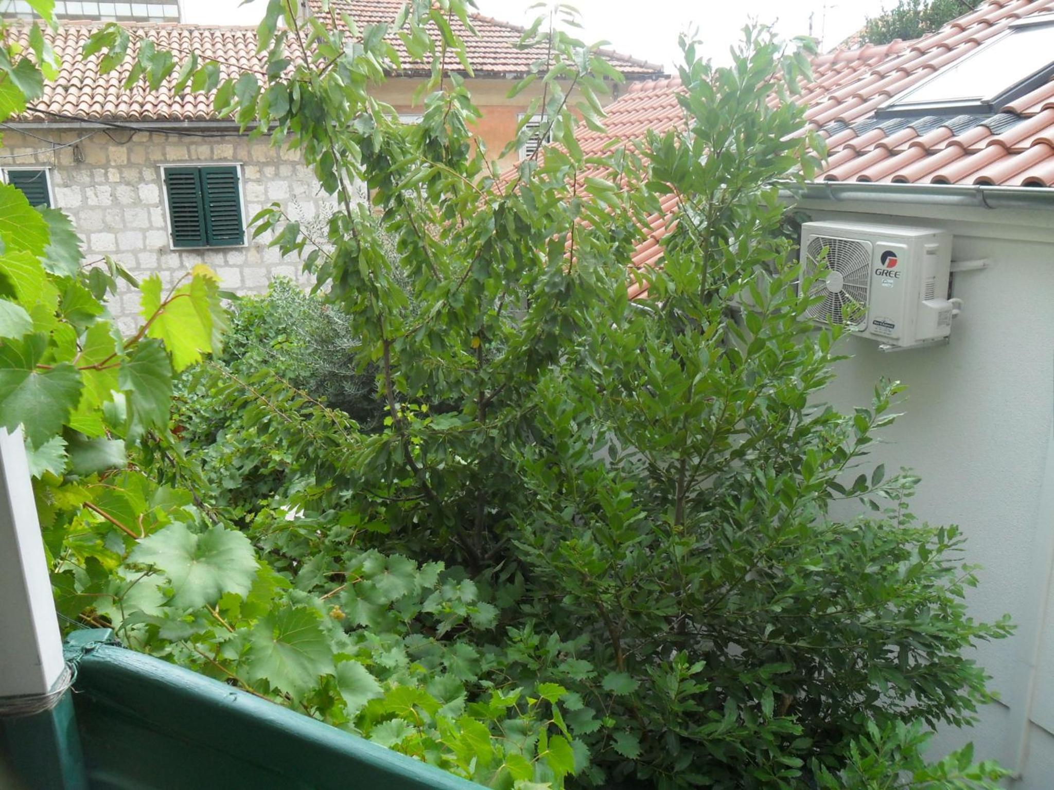 Photo 35