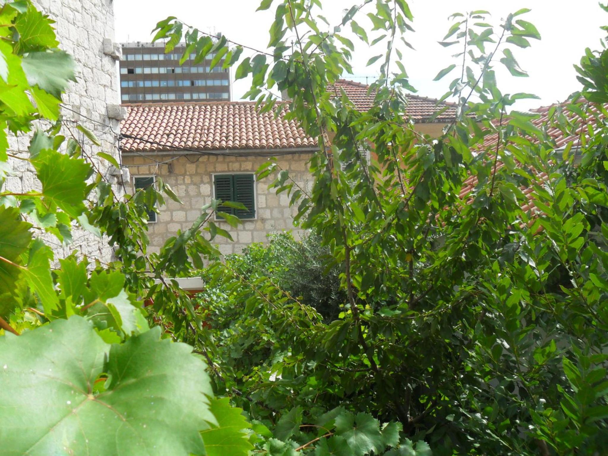 Apartments Villa Dube view 5