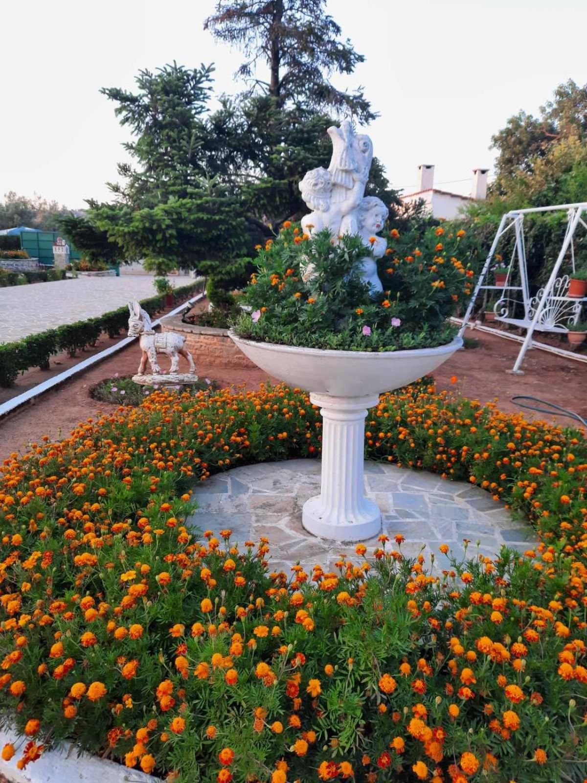 EVIA RIVIERA